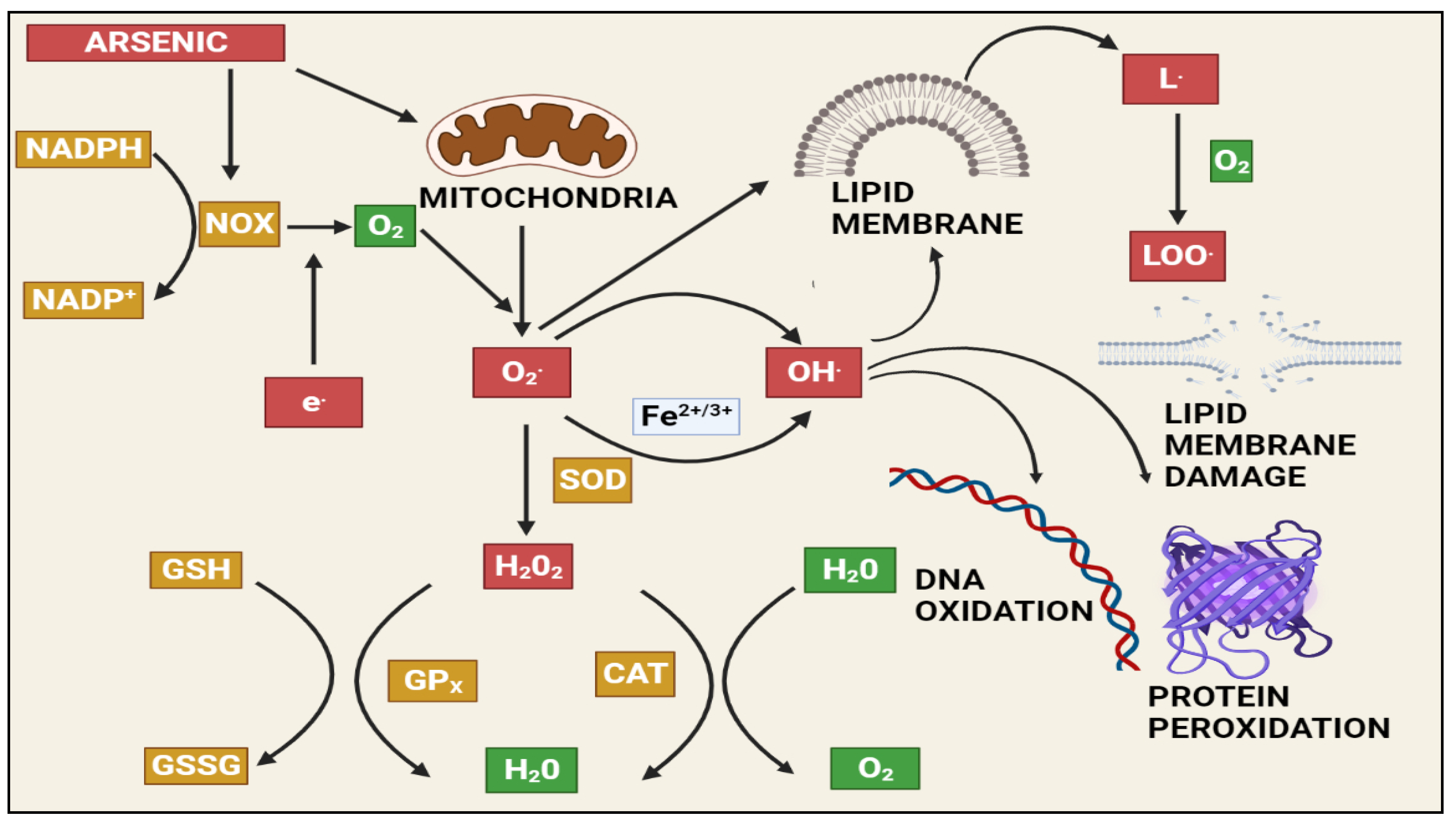 Toxics 10 00744 g002 Toxics 10 00744 g002