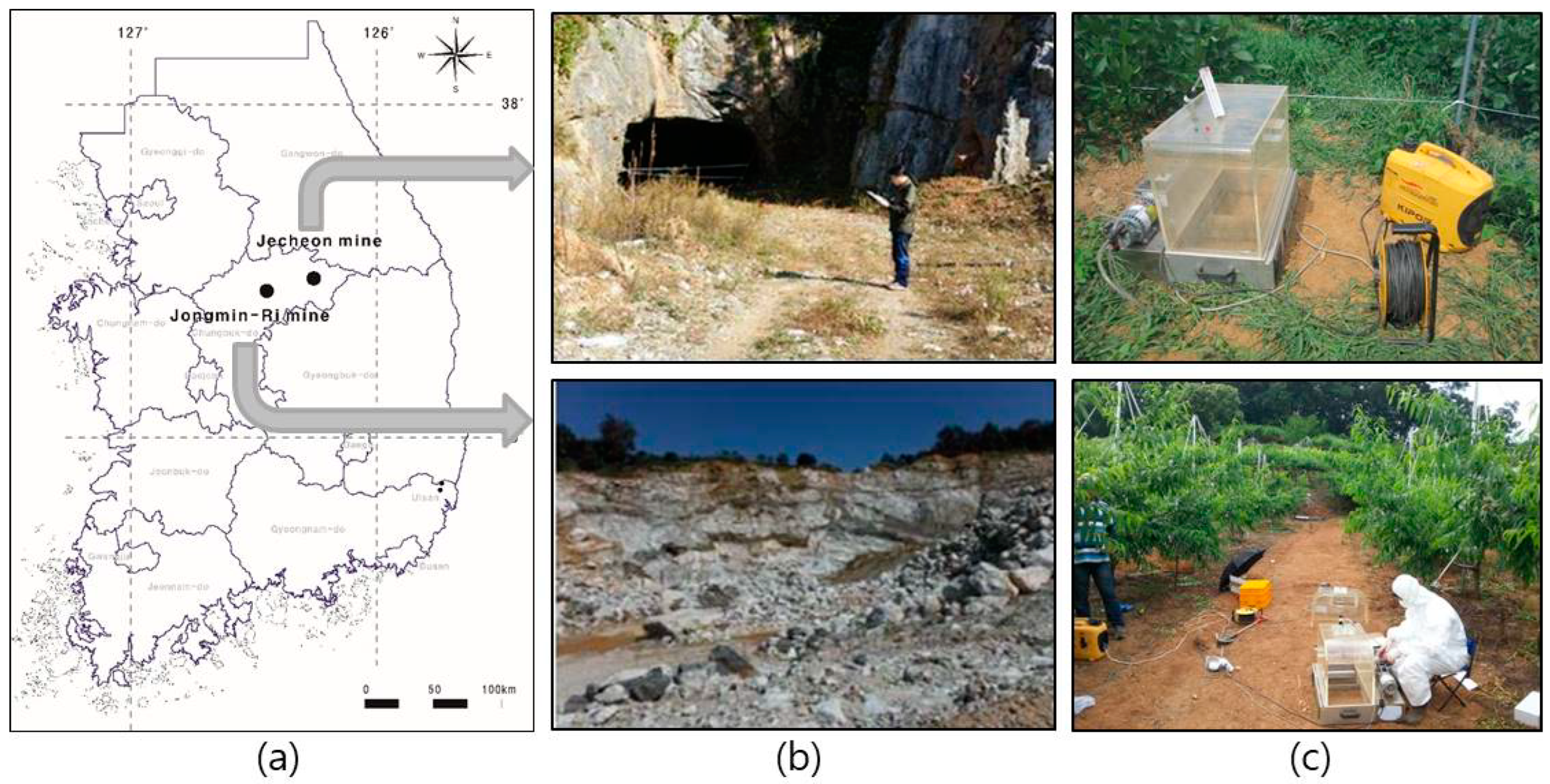 Toxics 10 00748 g001