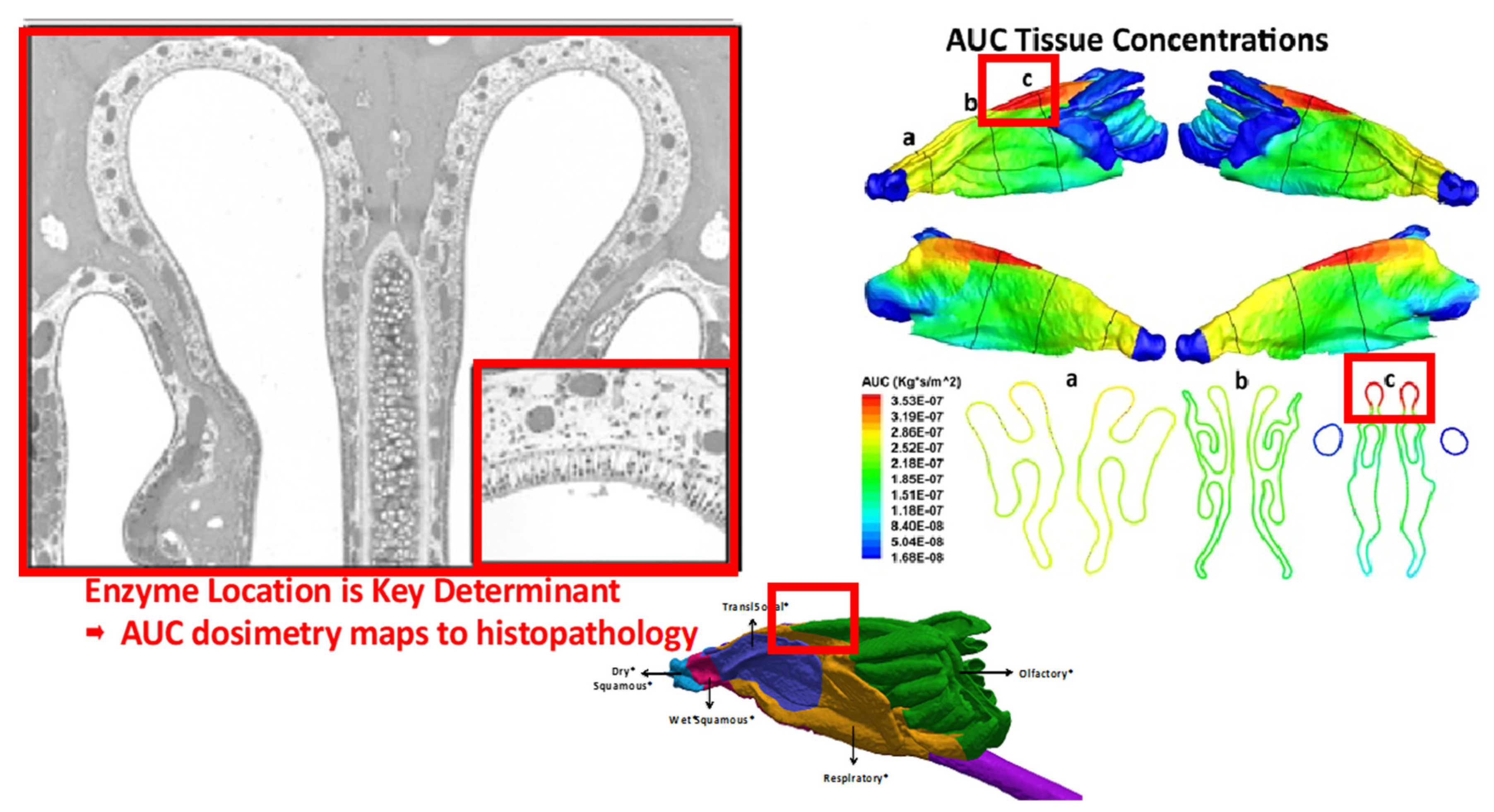 Toxics 10 00760 g004