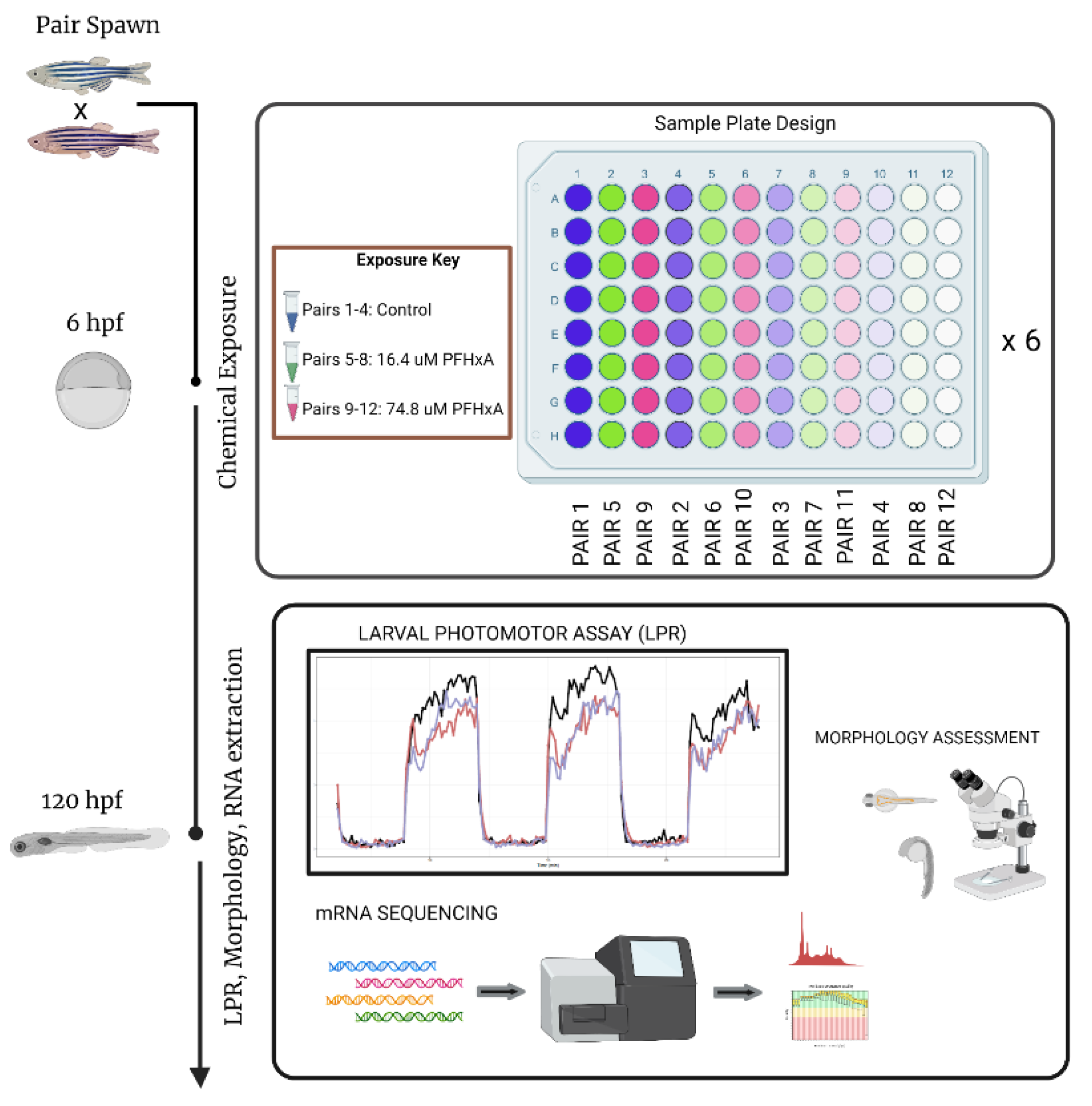 Toxics 10 00769 g001 Toxics 10 00769 g001