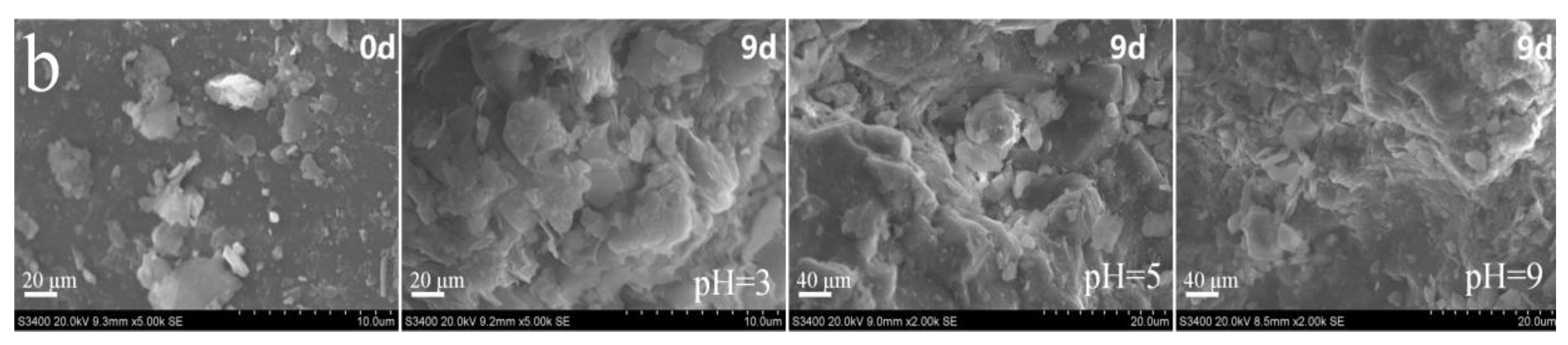 Toxics 10 00777 g006b Toxics 10 00777 g006b