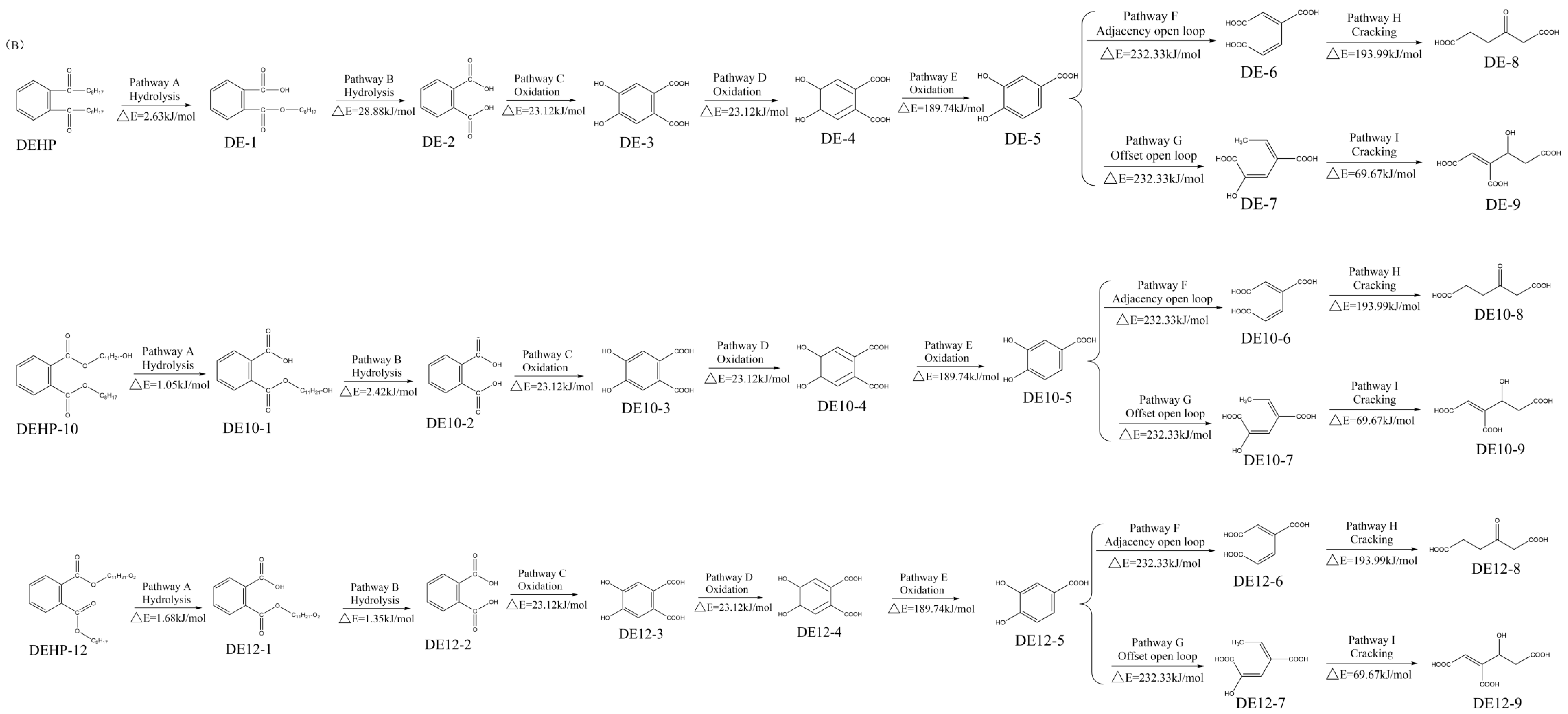 Toxics 10 00783 g004b