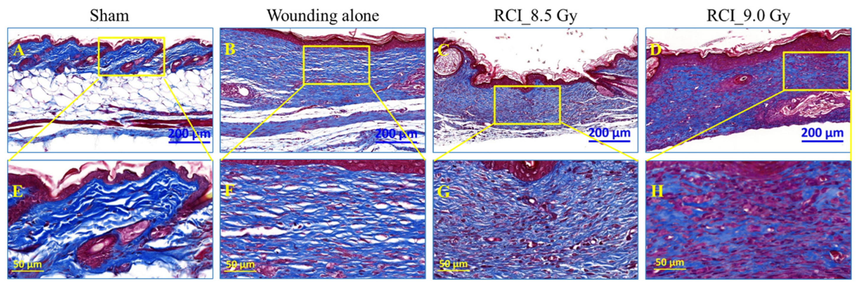 Toxics 10 00785 g008 Toxics 10 00785 g008