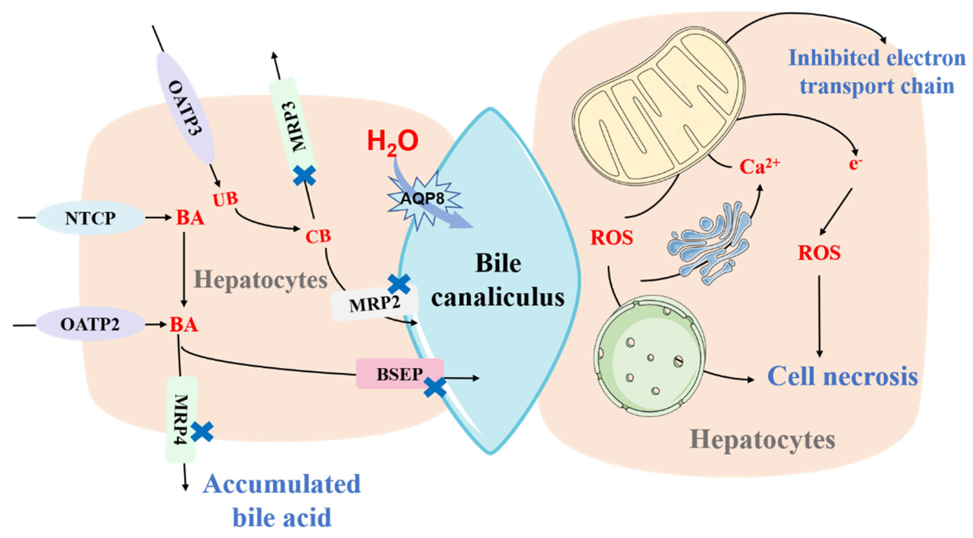Toxics 10 00788 g001 Toxics 10 00788 g001