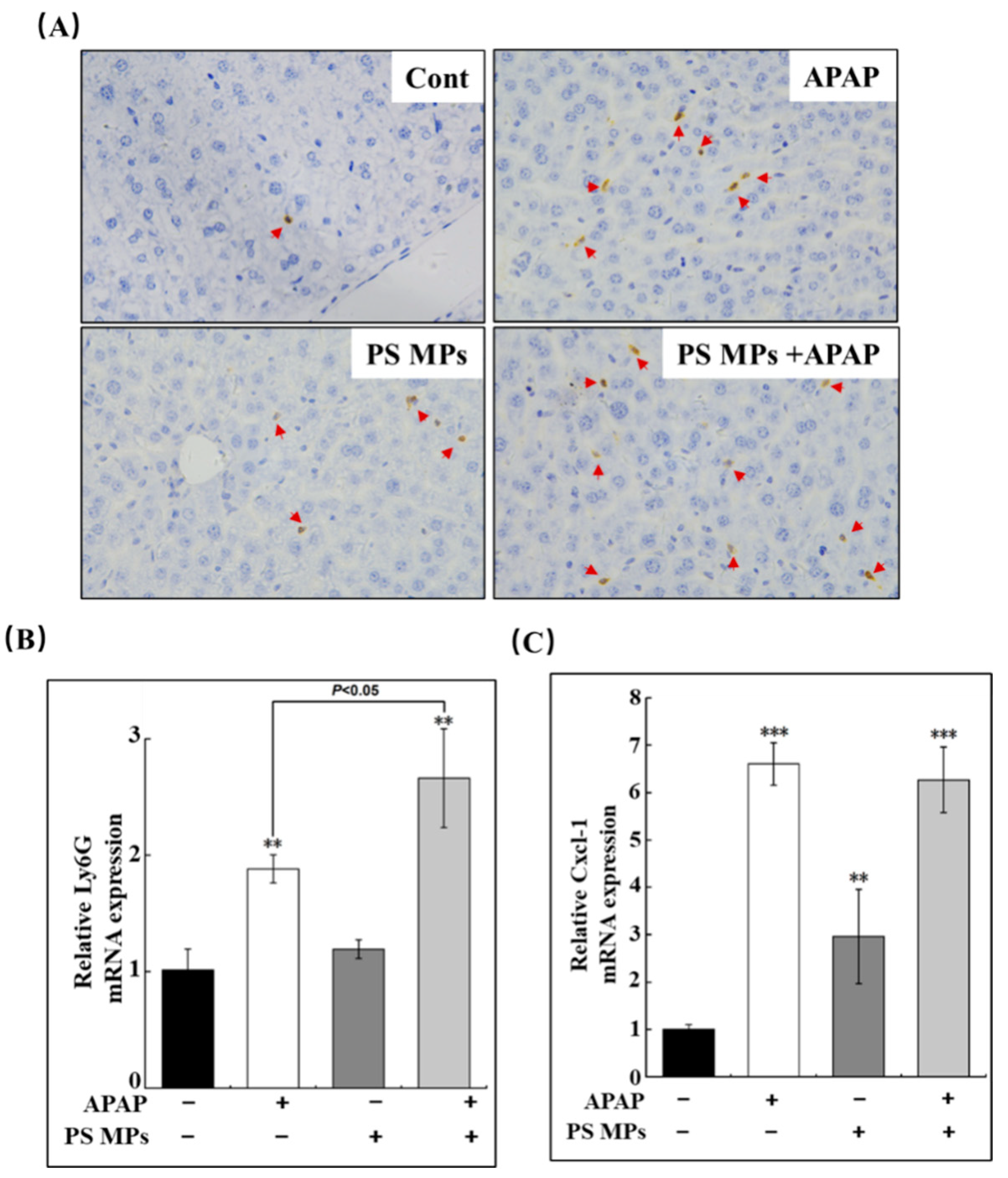 Toxics 10 00792 g004 Toxics 10 00792 g004