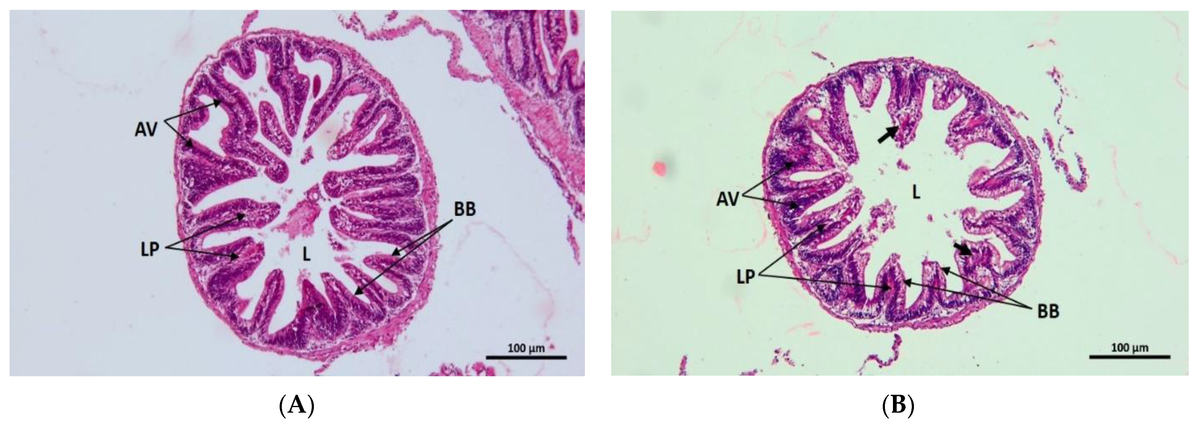 Toxics 10 00793 g007a