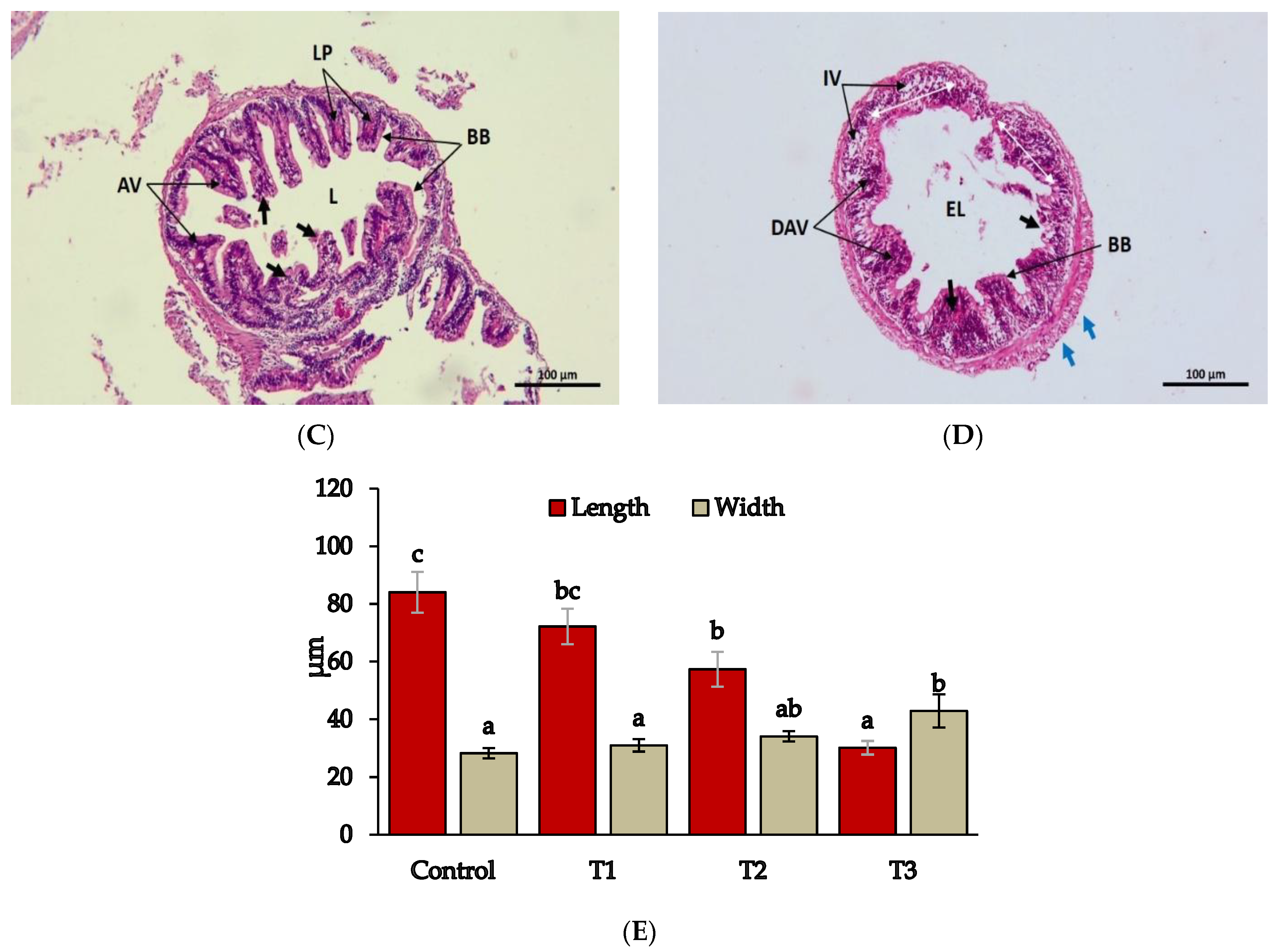 Toxics 10 00793 g007b