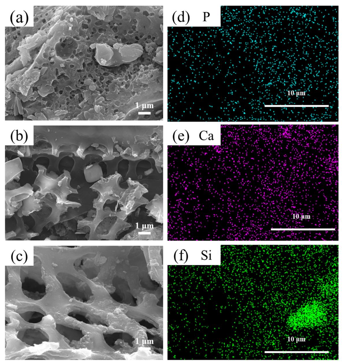 Toxics 11 00001 g001