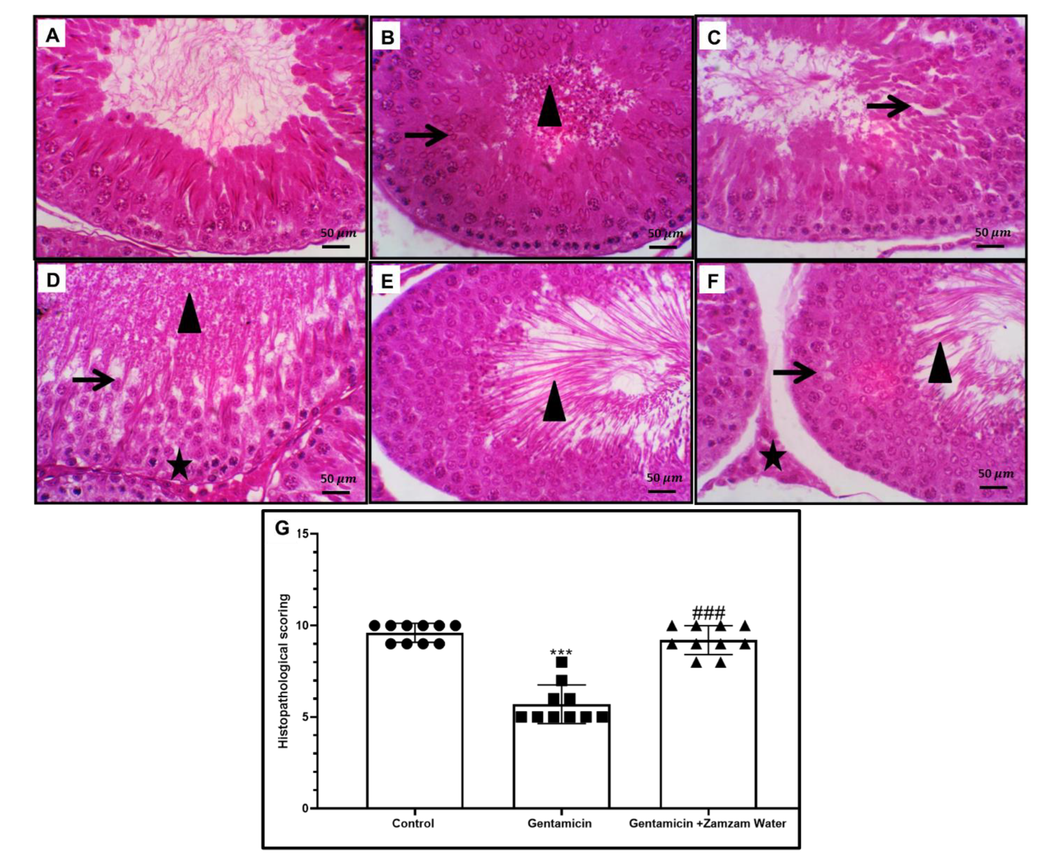 Toxics 11 00002 g003 Toxics 11 00002 g003