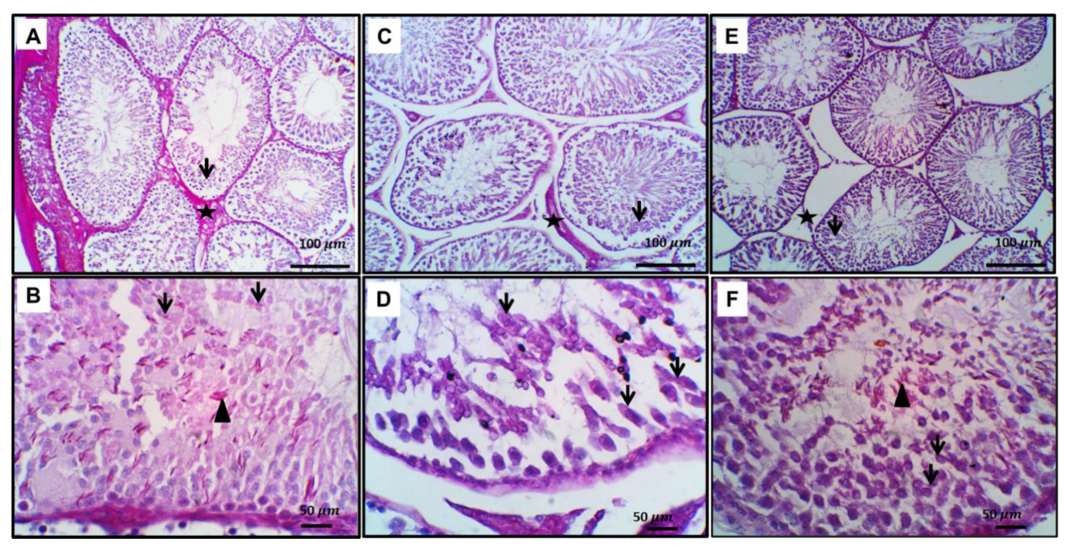 Toxics 11 00002 g004 Toxics 11 00002 g004