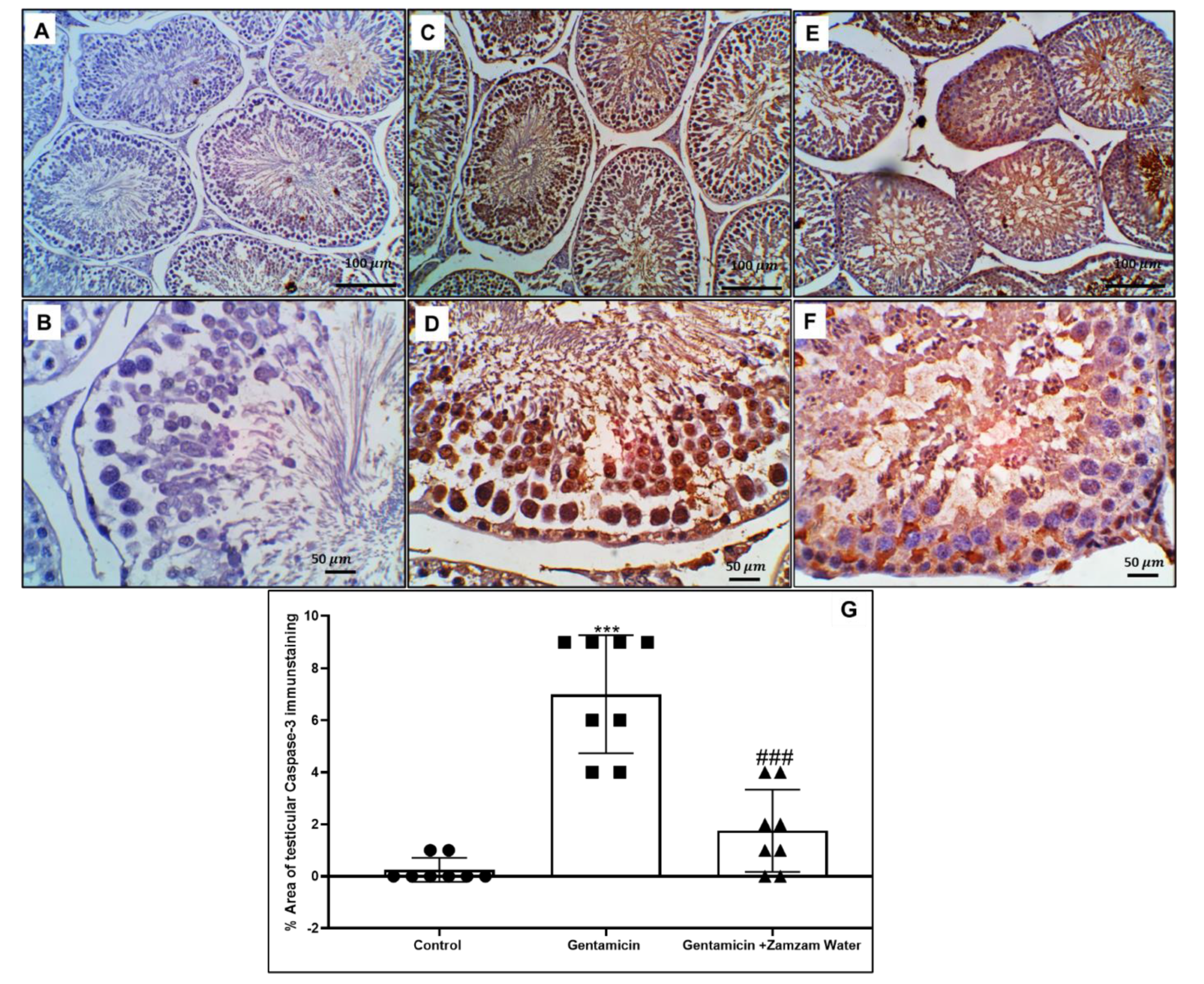 Toxics 11 00002 g008 Toxics 11 00002 g008