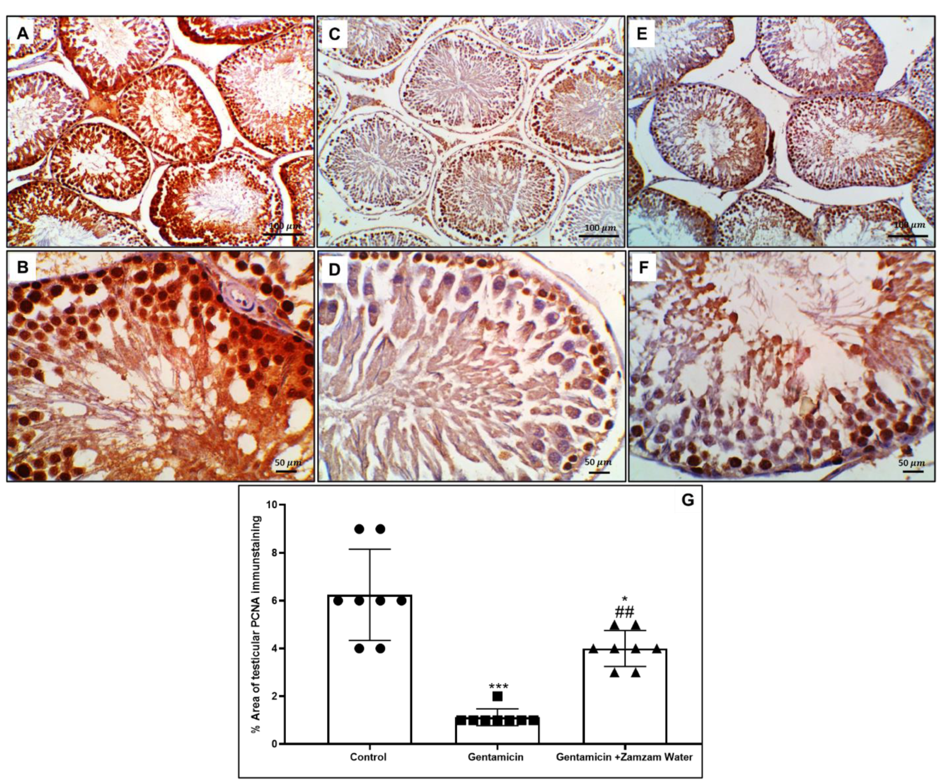 Toxics 11 00002 g009 Toxics 11 00002 g009