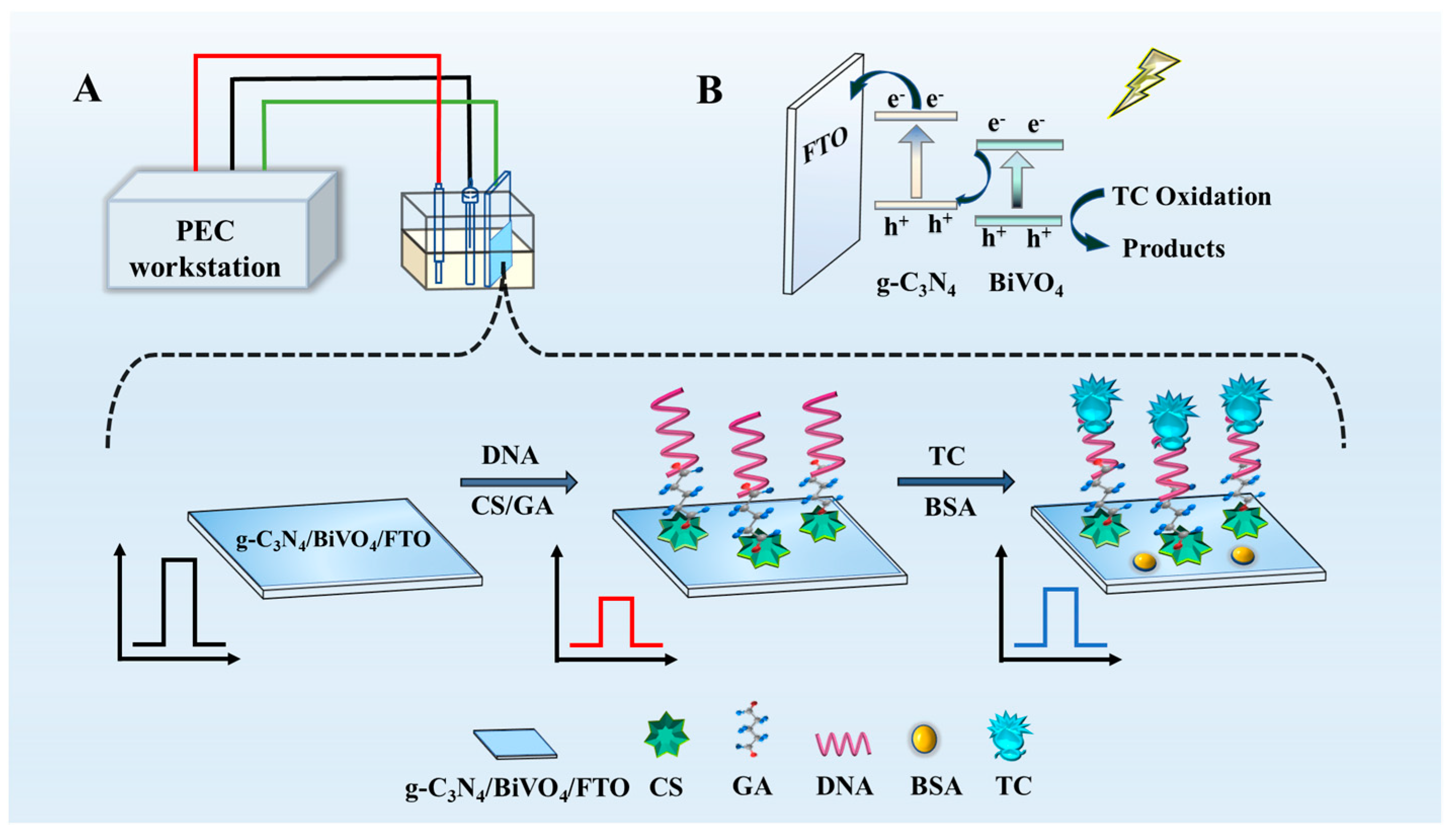 Toxics 11 00017 sch001 Toxics 11 00017 sch001