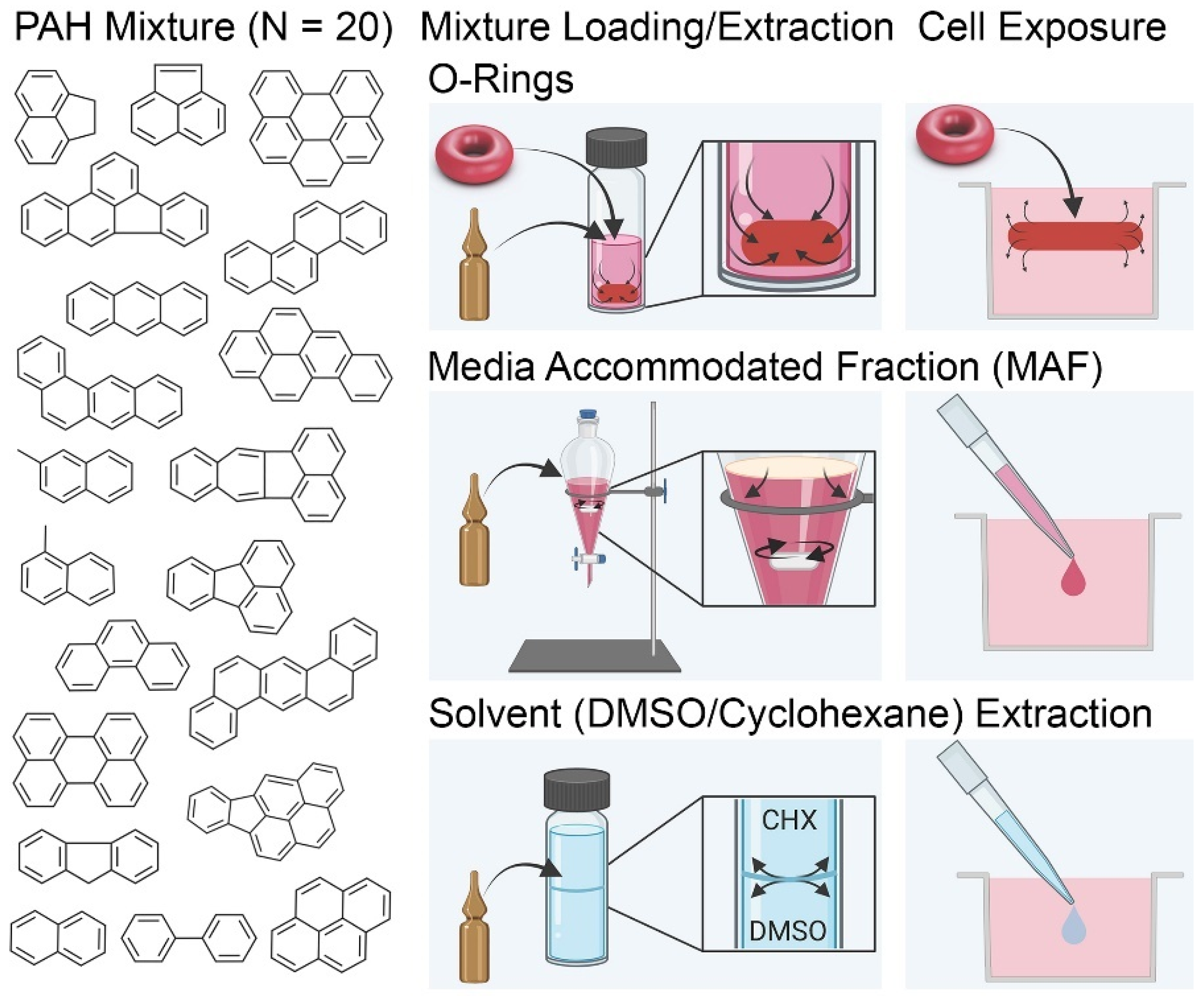 Toxics 11 00019 g001