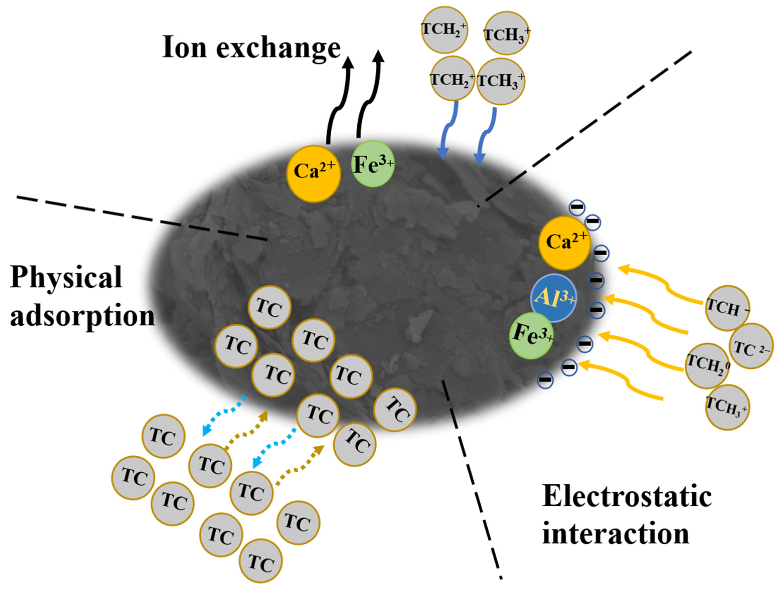 Toxics 11 00020 g008 Toxics 11 00020 g008