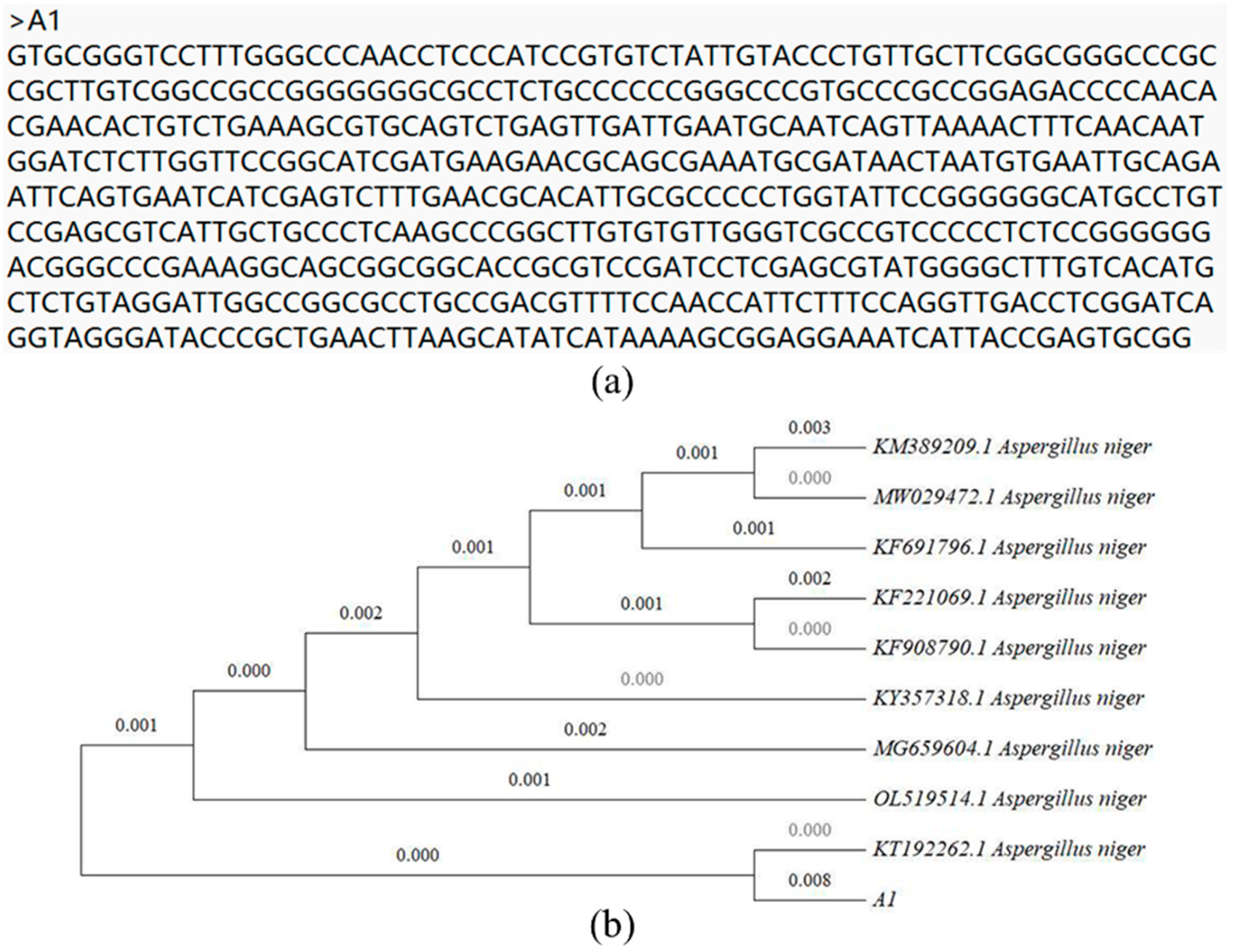 Toxics 11 00031 g001