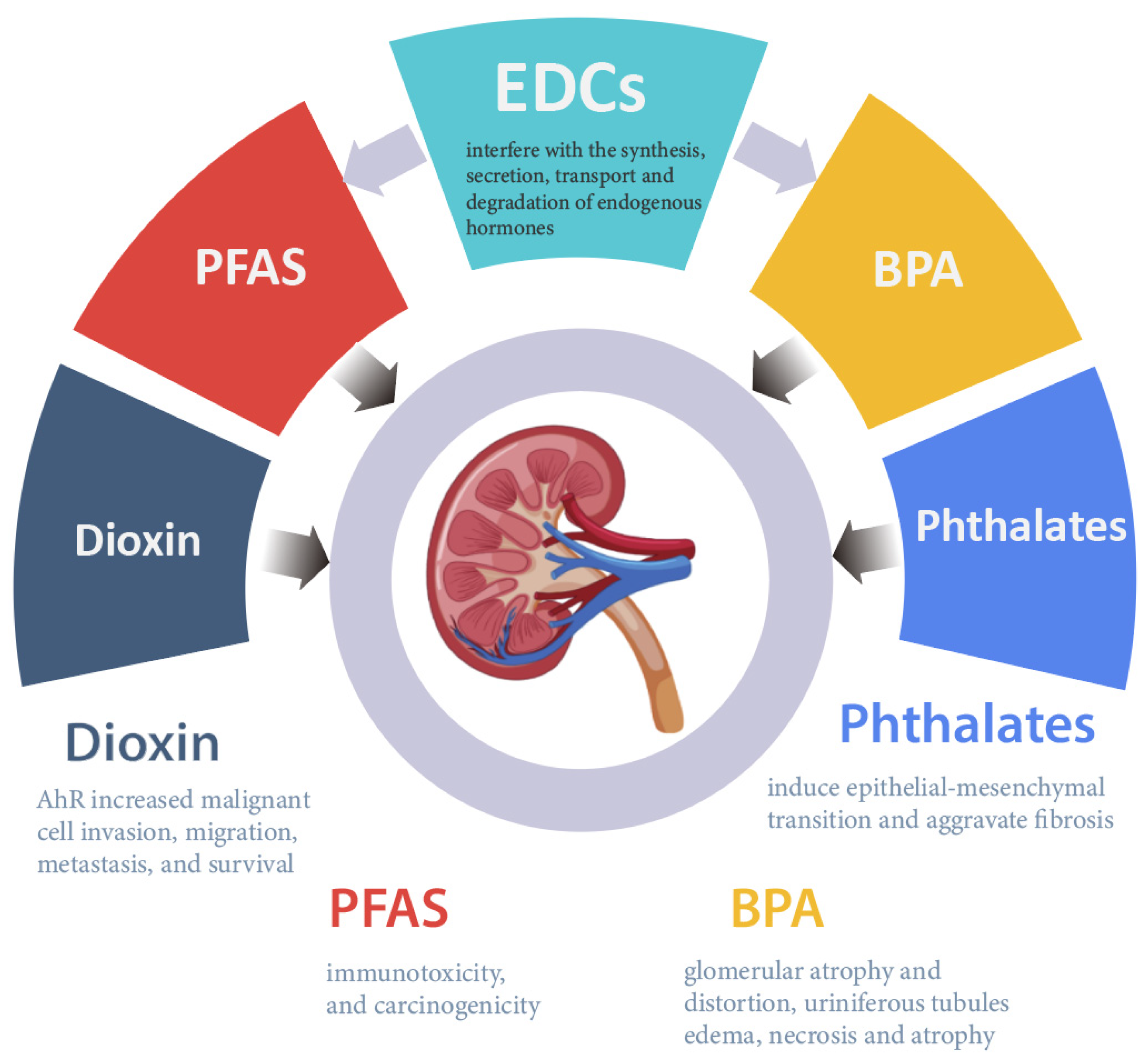 Toxics 11 00032 g003