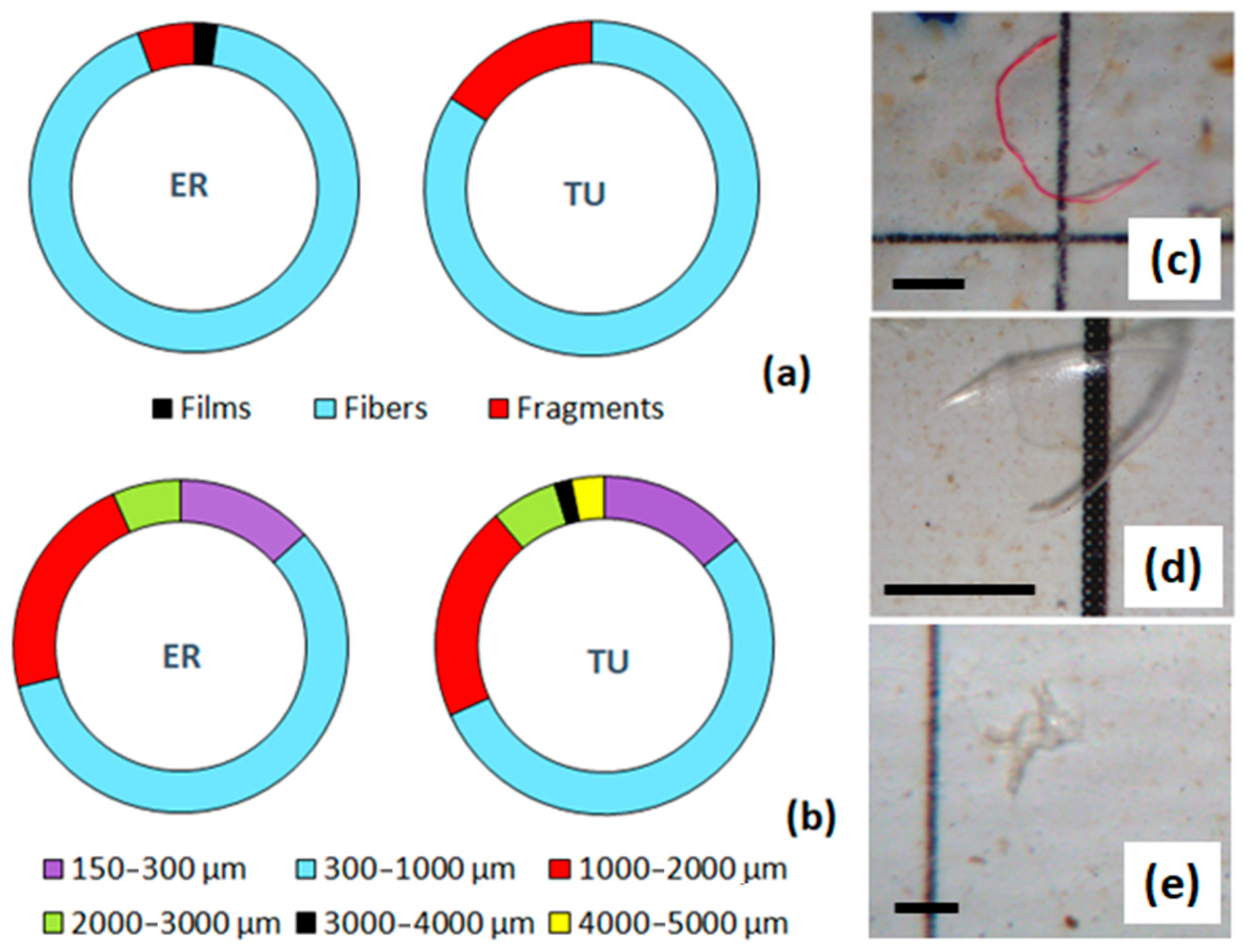 Toxics 11 00038 g004 Toxics 11 00038 g004