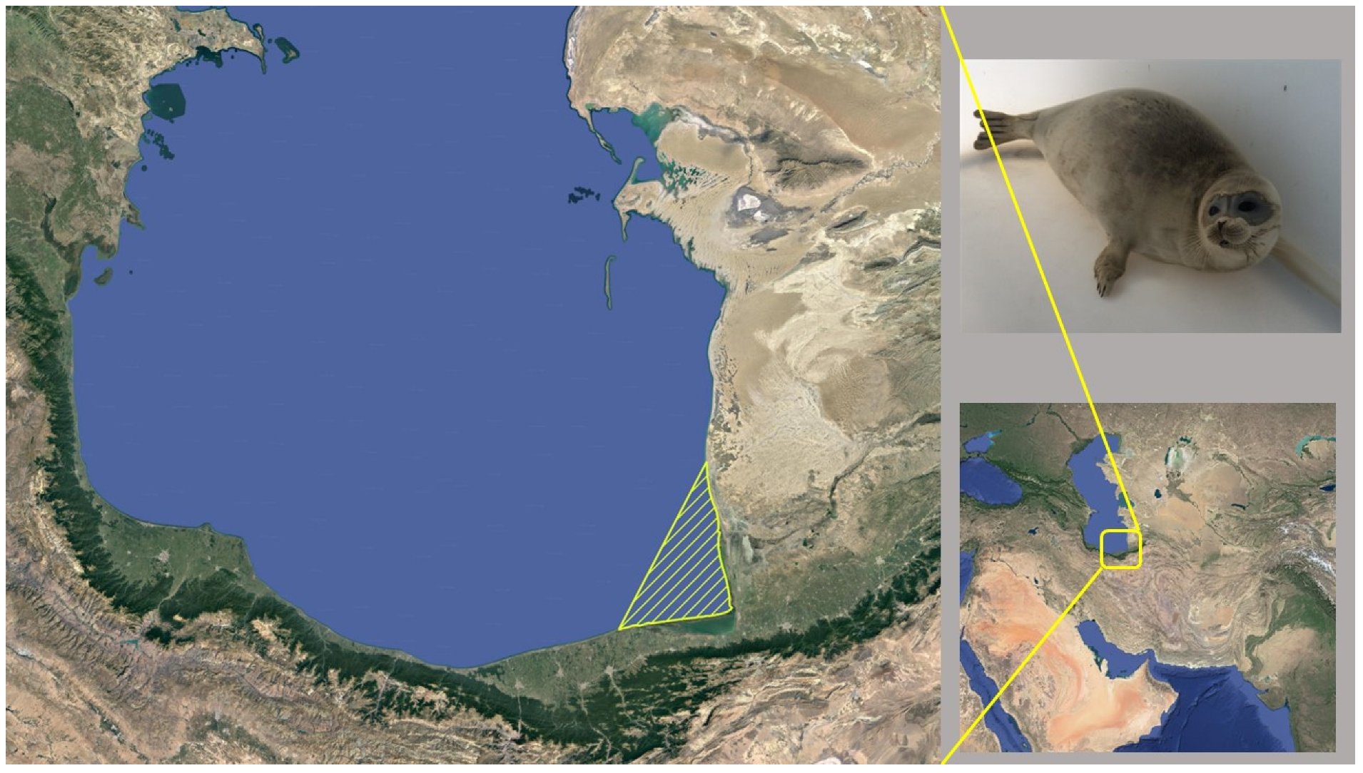 Toxics 11 00039 g001