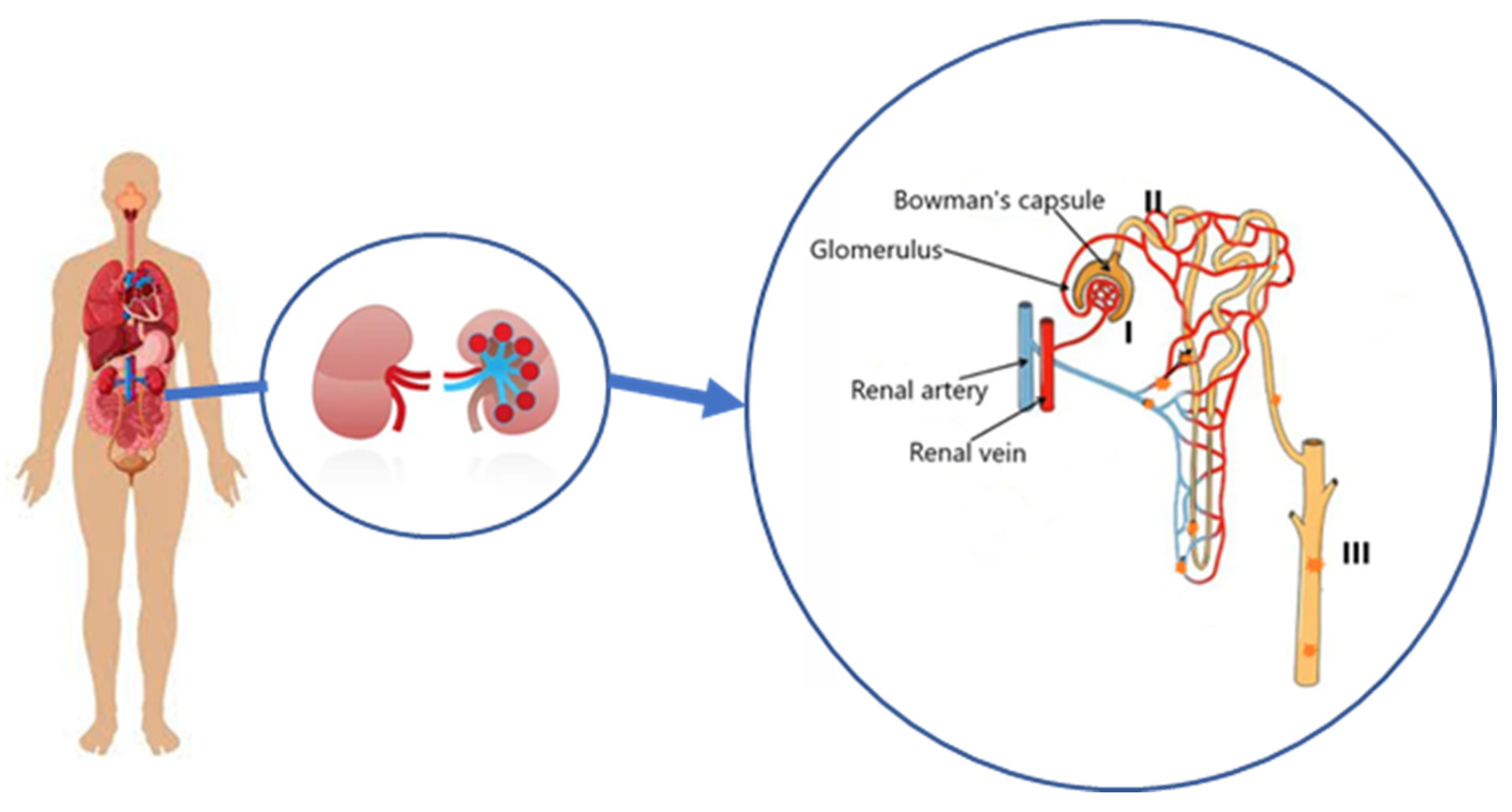 Toxics 11 00040 g001 Toxics 11 00040 g001