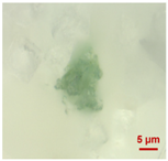 Toxics 11 00040 i008 Toxics 11 00040 i008