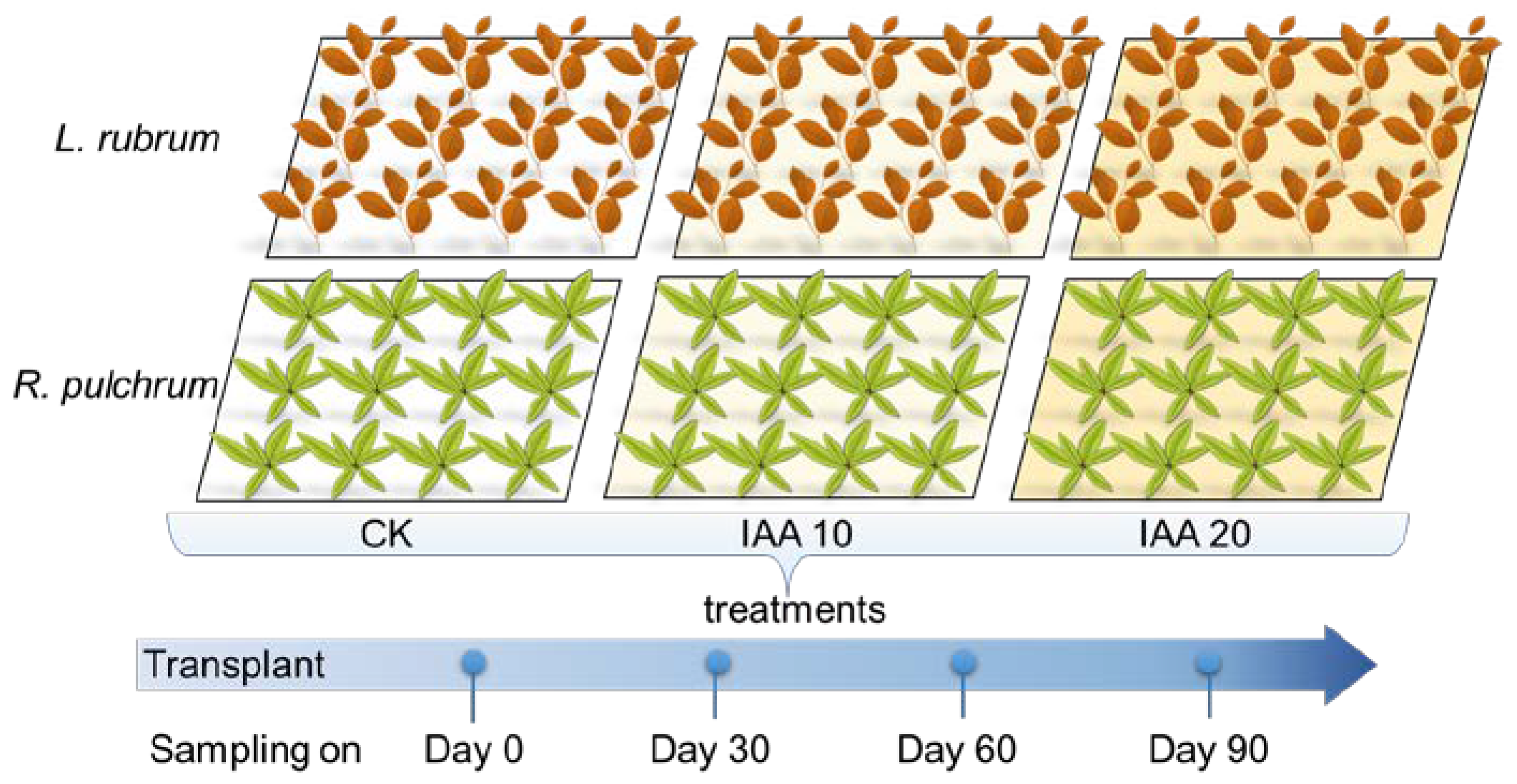 Toxics 11 00043 g001 Toxics 11 00043 g001