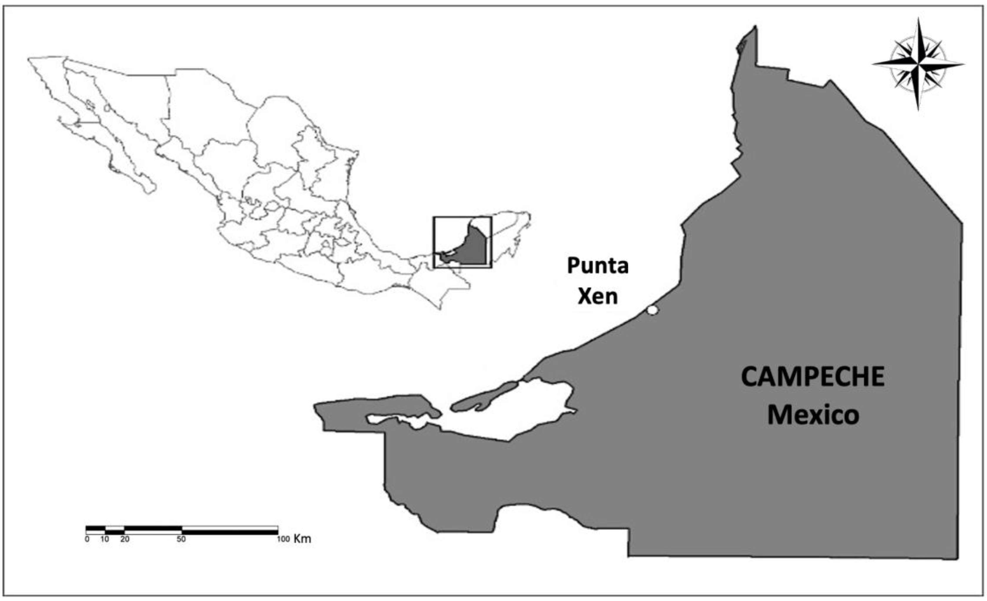 Toxics 11 00050 g001