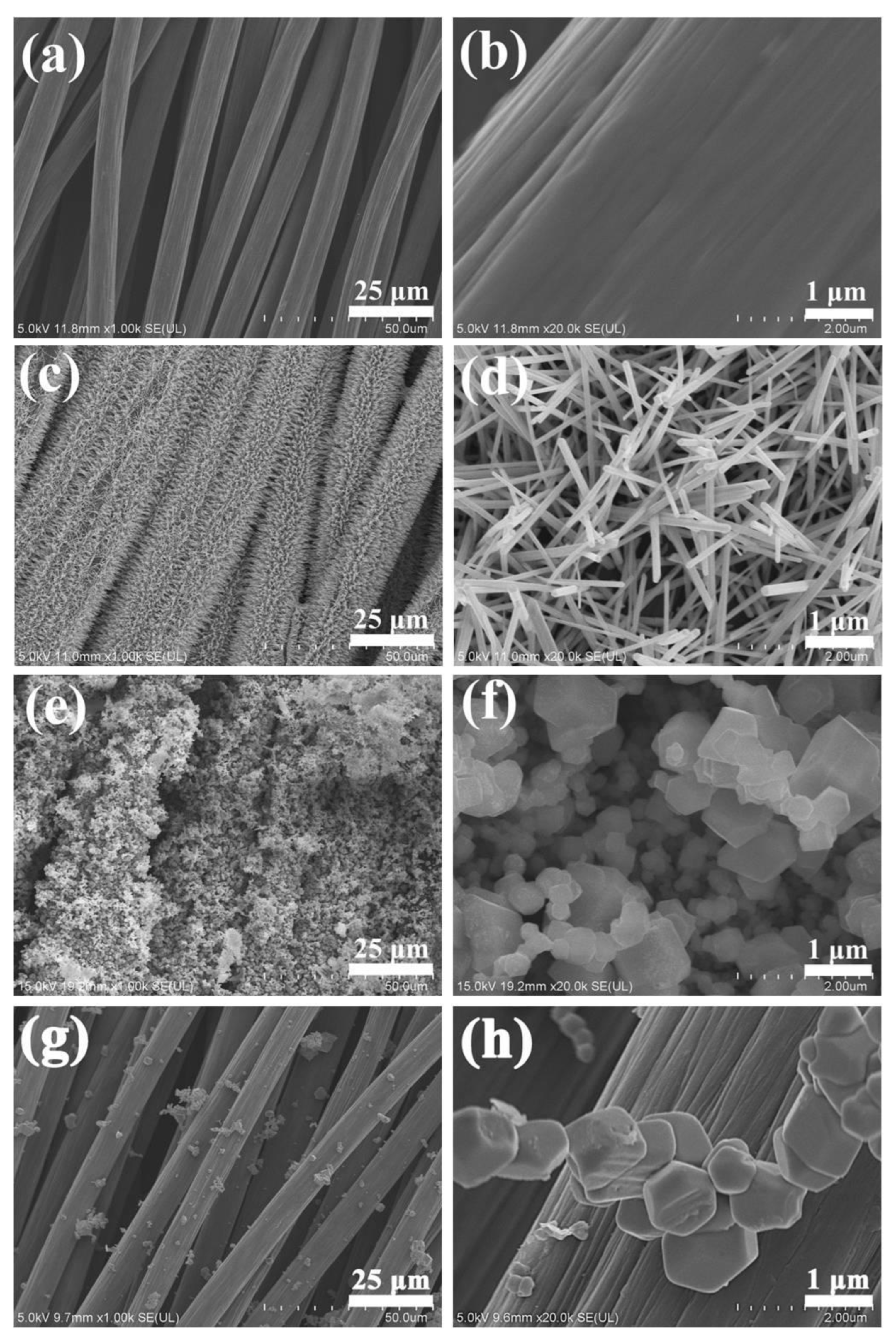 Toxics 11 00070 g003