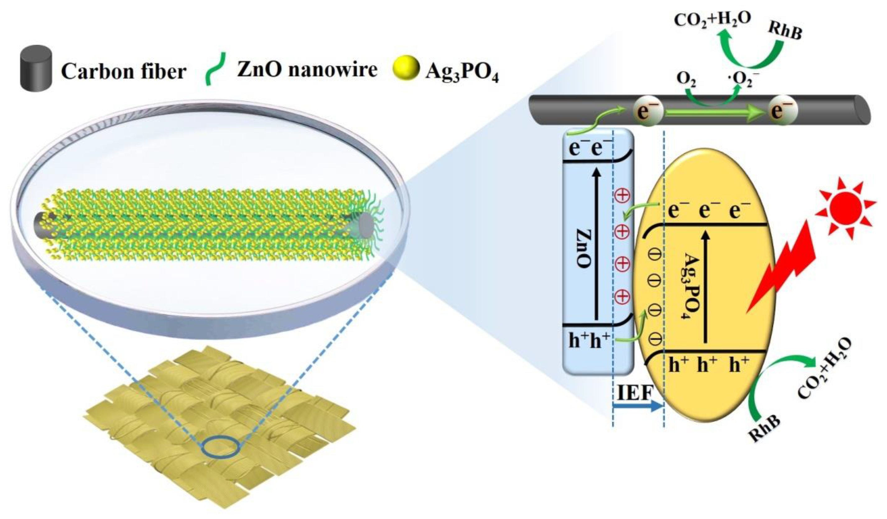 Toxics 11 00070 g008