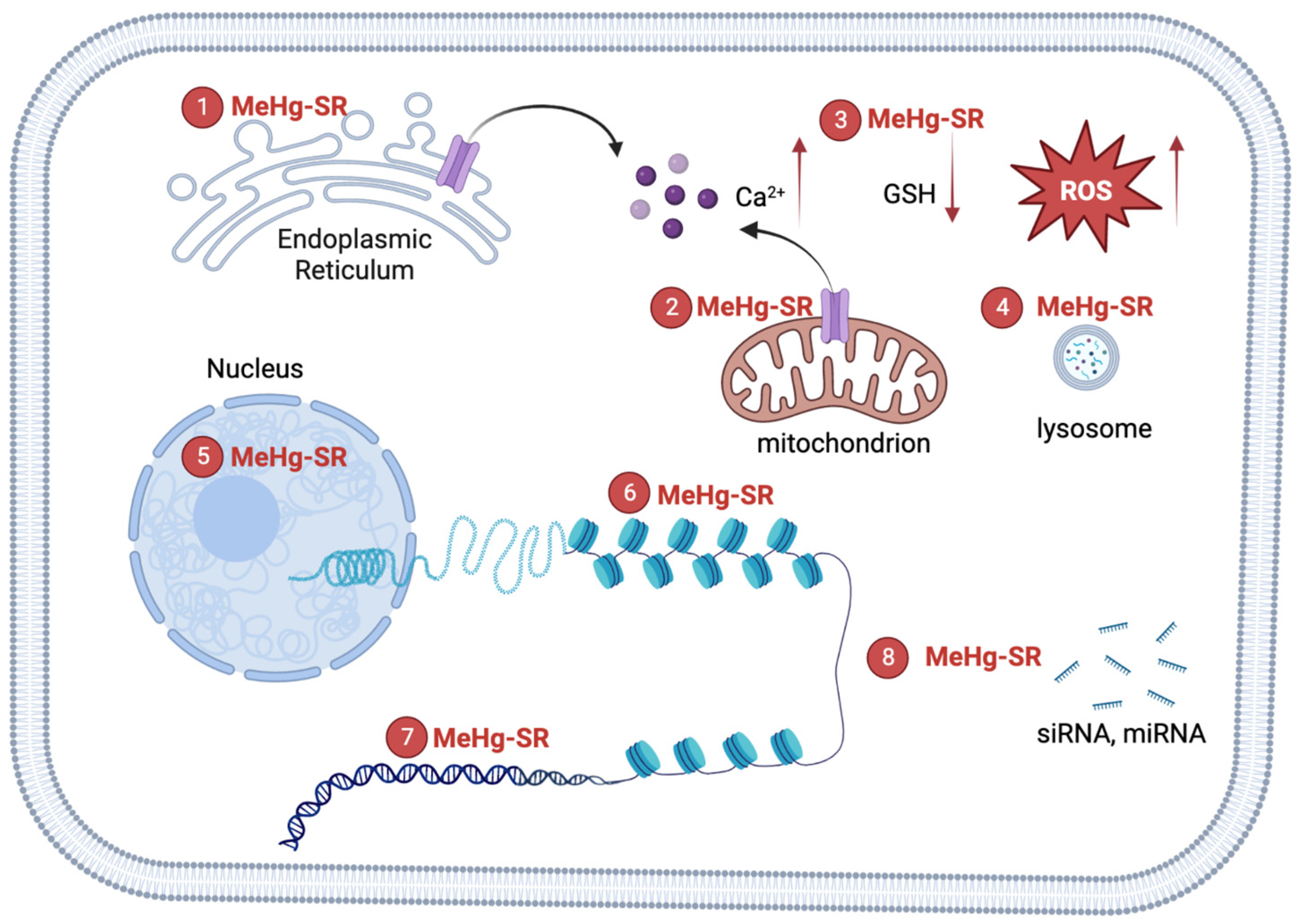 Toxics 11 00072 g001 Toxics 11 00072 g001