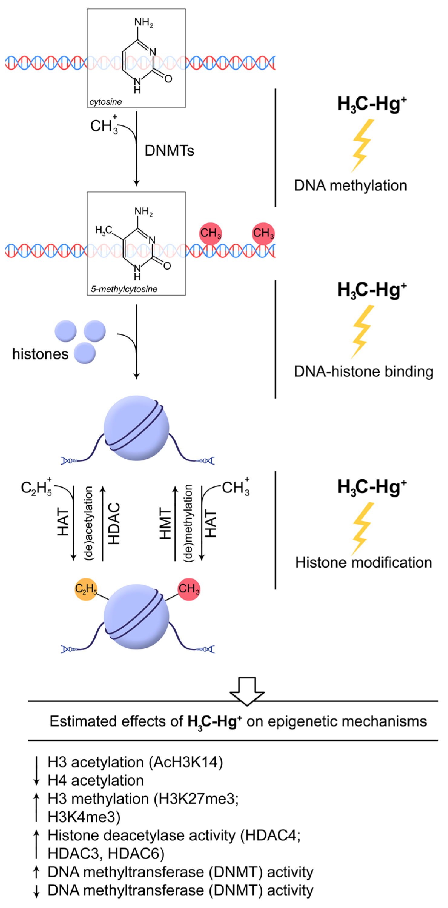 Toxics 11 00072 g002 Toxics 11 00072 g002