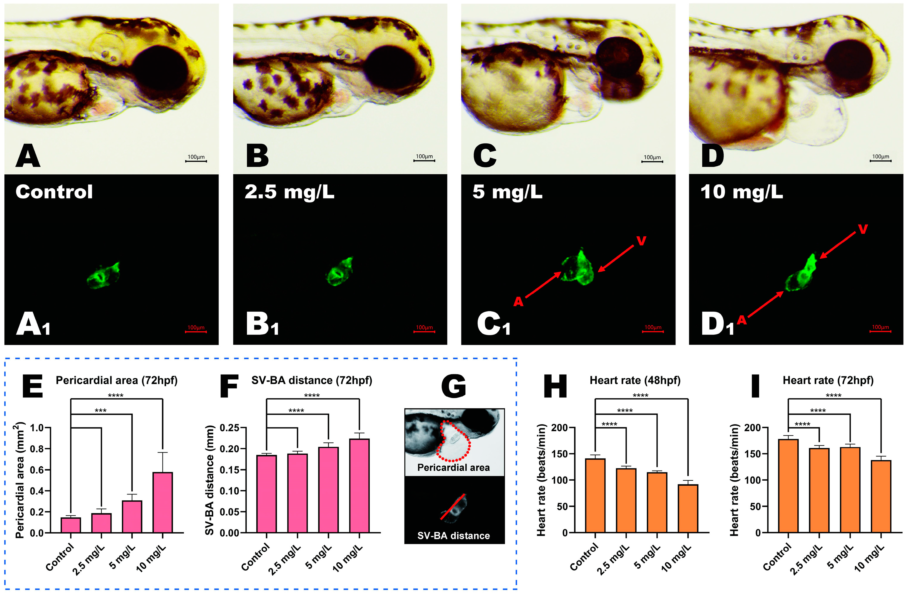 Toxics 11 00084 g002
