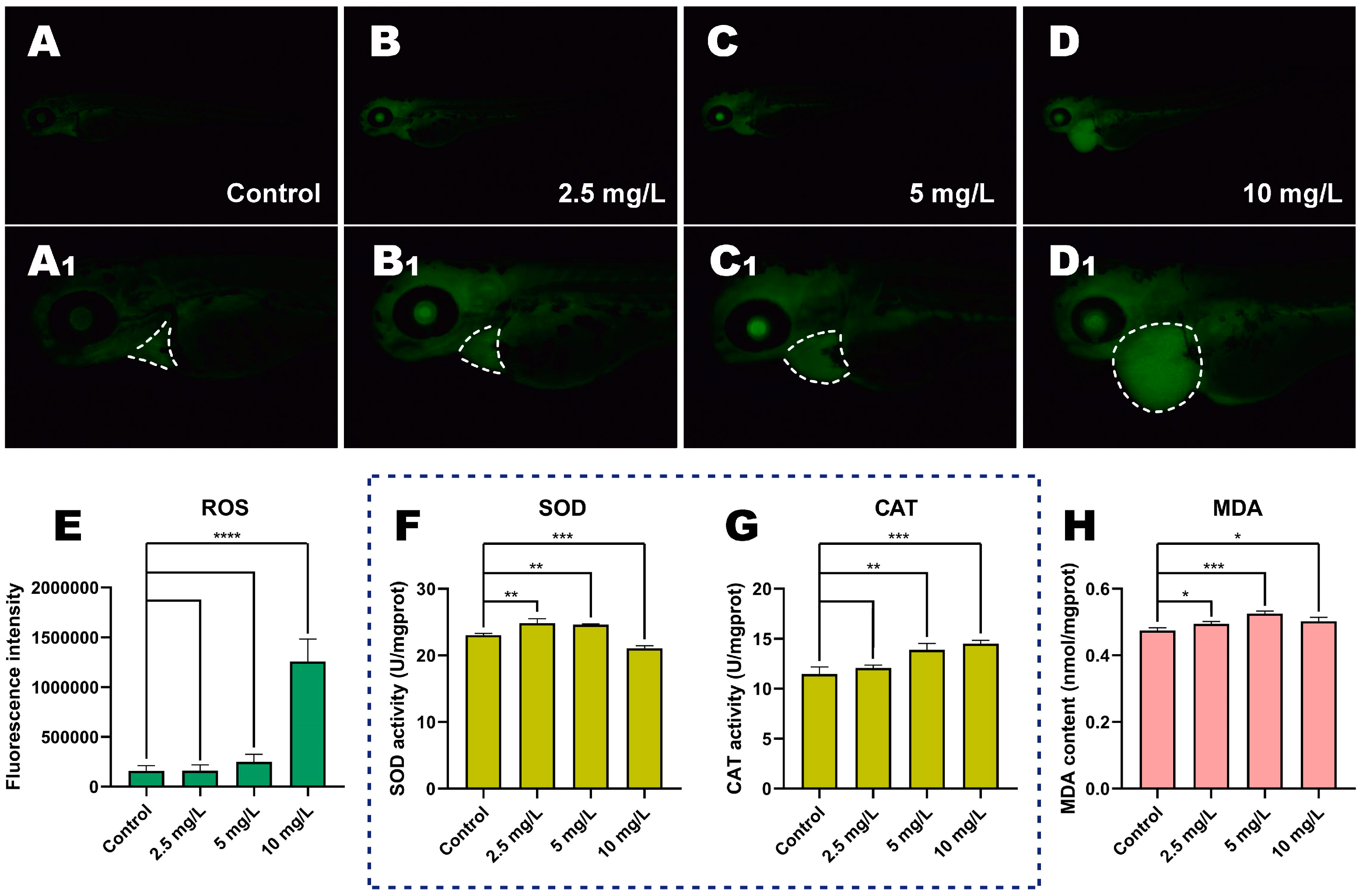 Methyl Parathion Exposure Induces Development Toxicity and