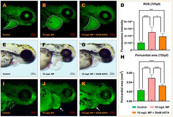 Methyl Parathion Exposure Induces Development Toxicity and
