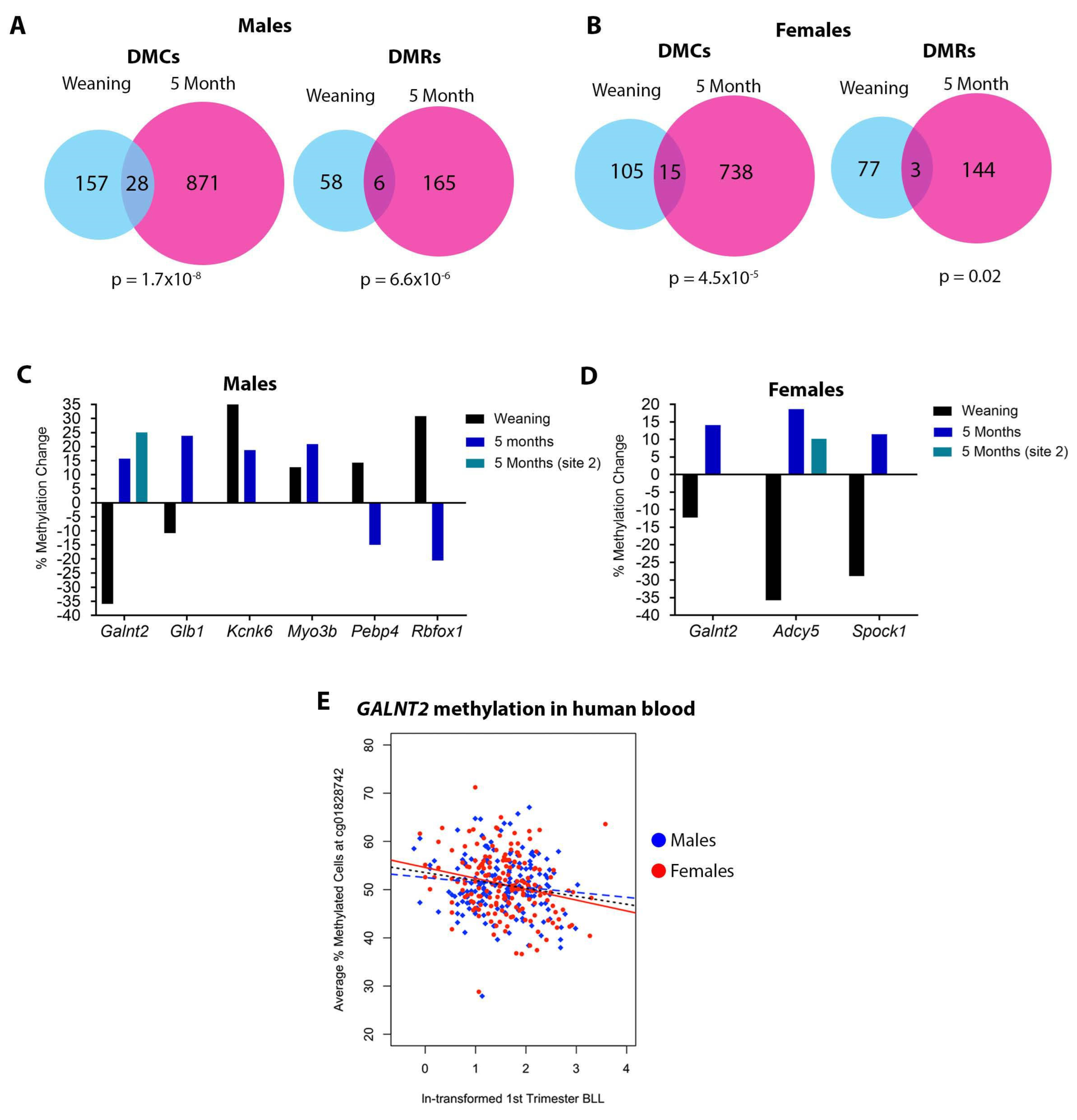 Toxics 11 00085 g006