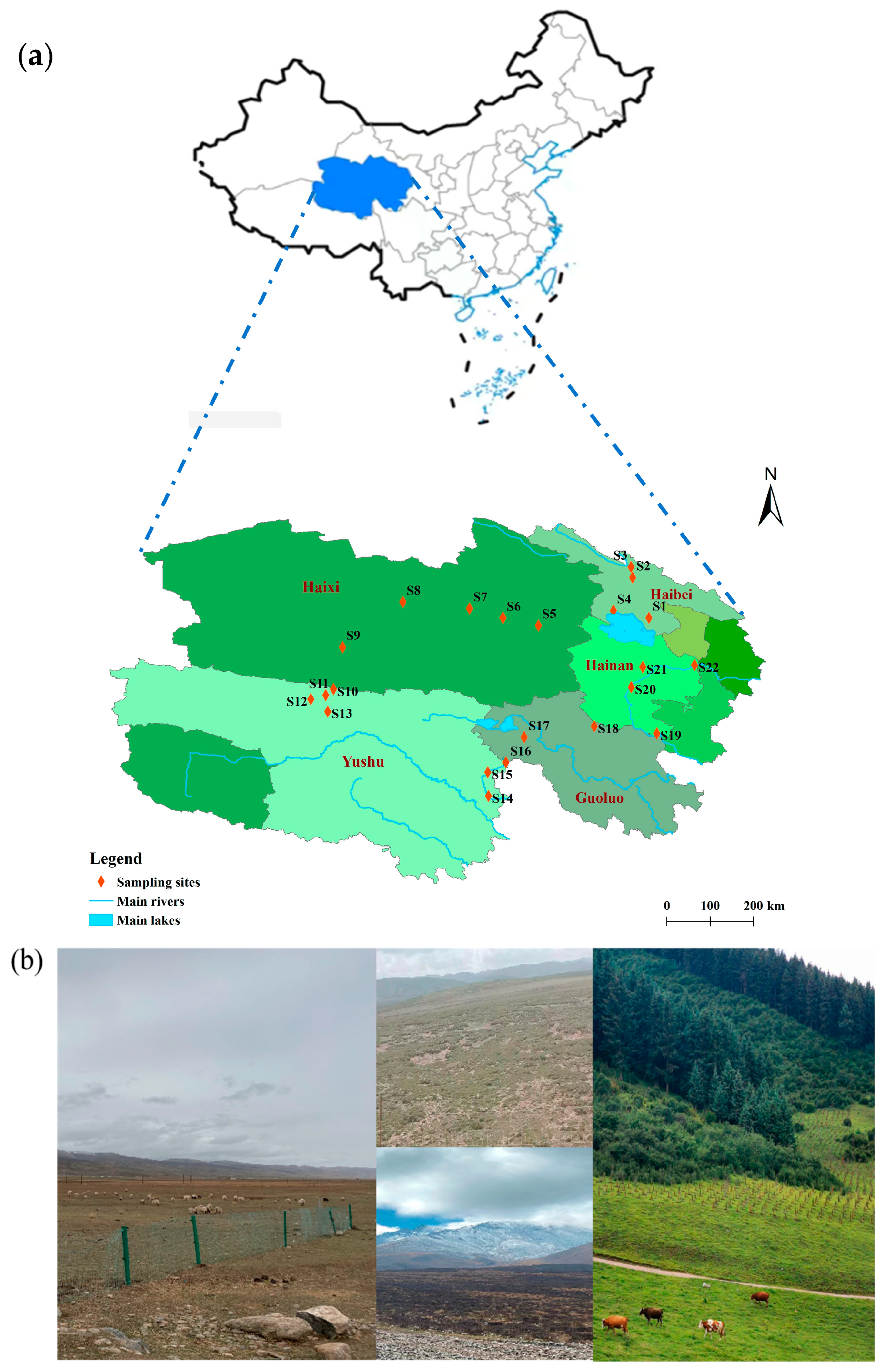 Toxics 11 00086 g001