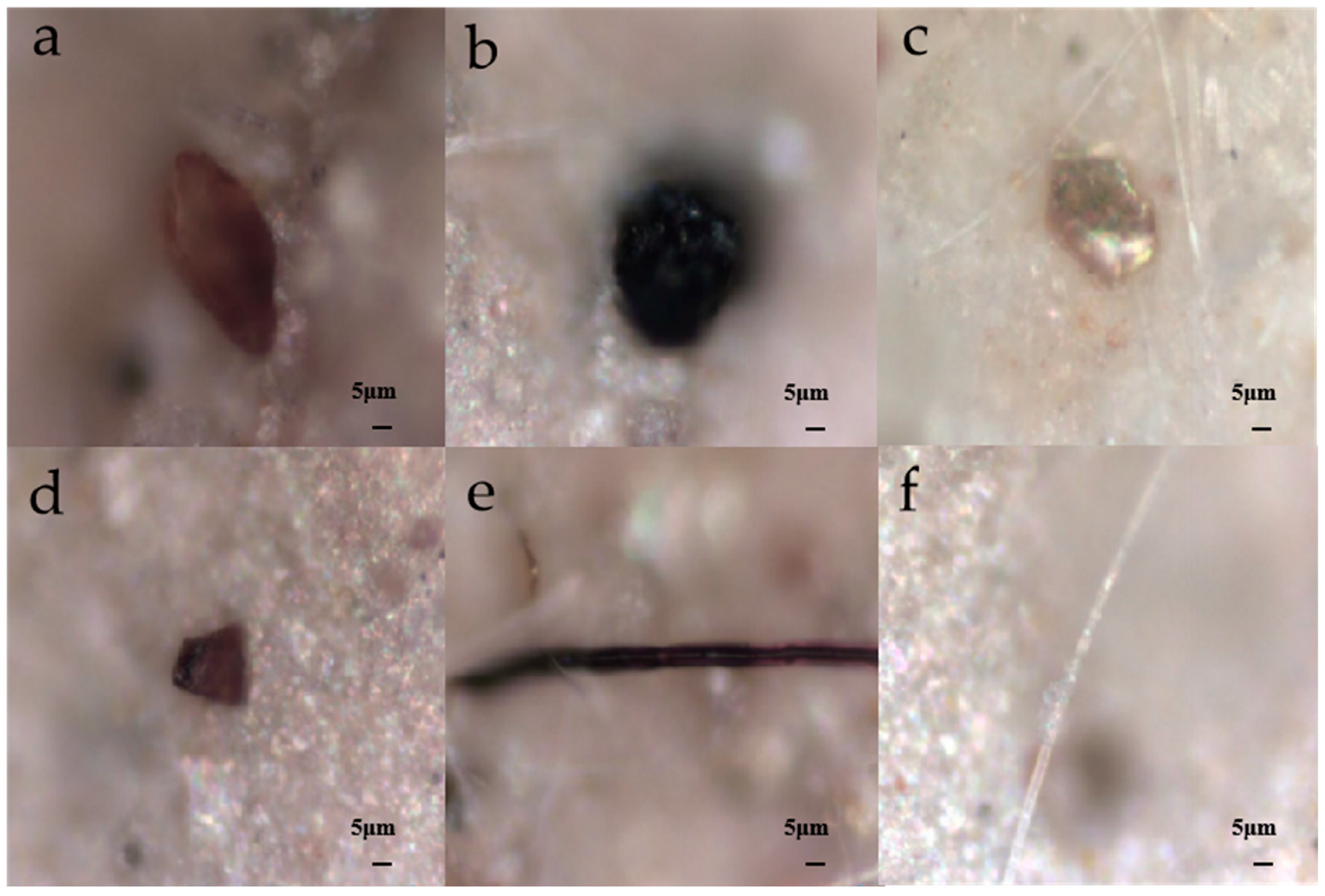 Toxics 11 00086 g005
