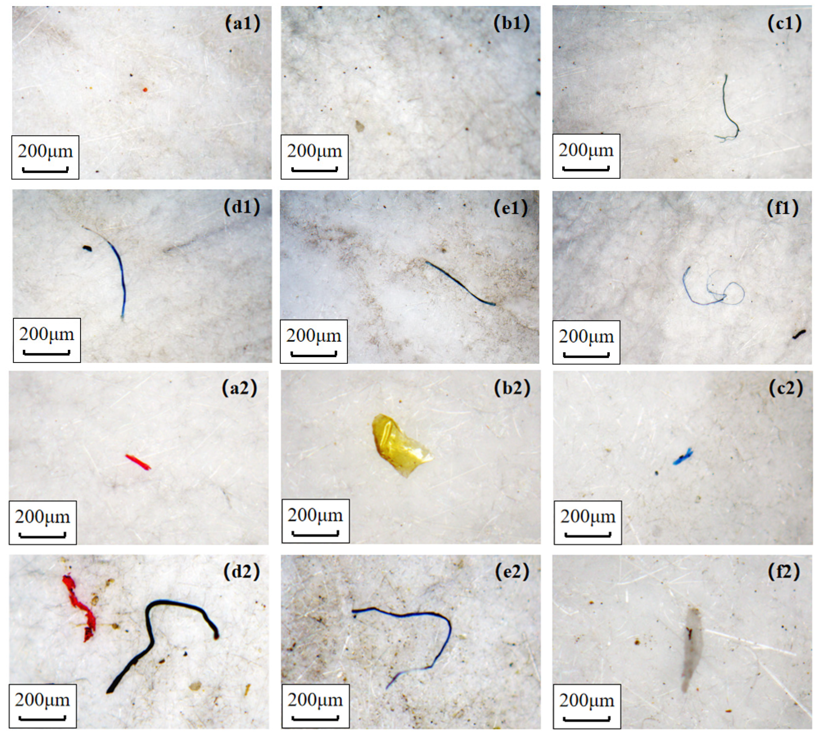 Toxics 11 00087 g002