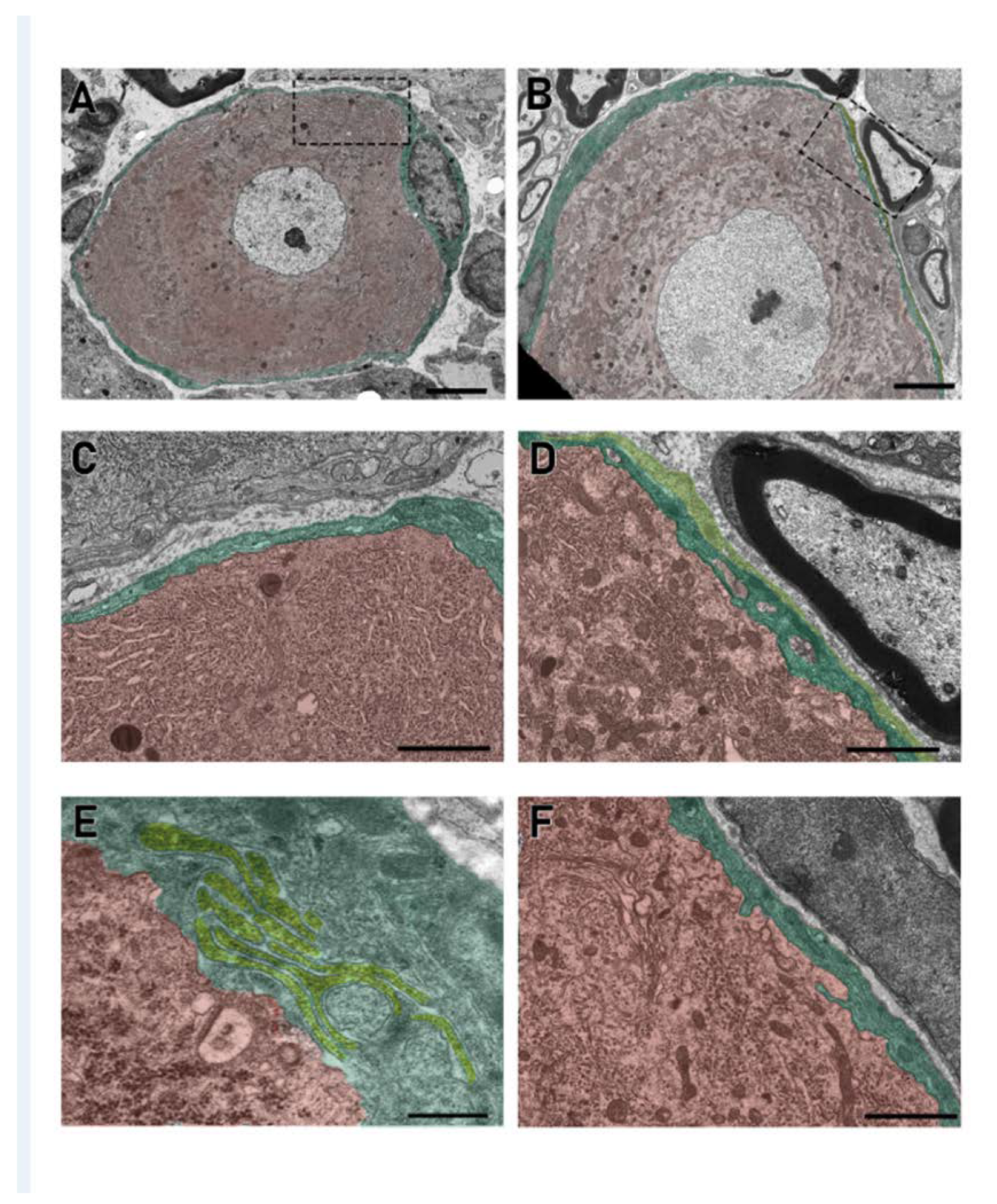 Toxics 11 00093 g003