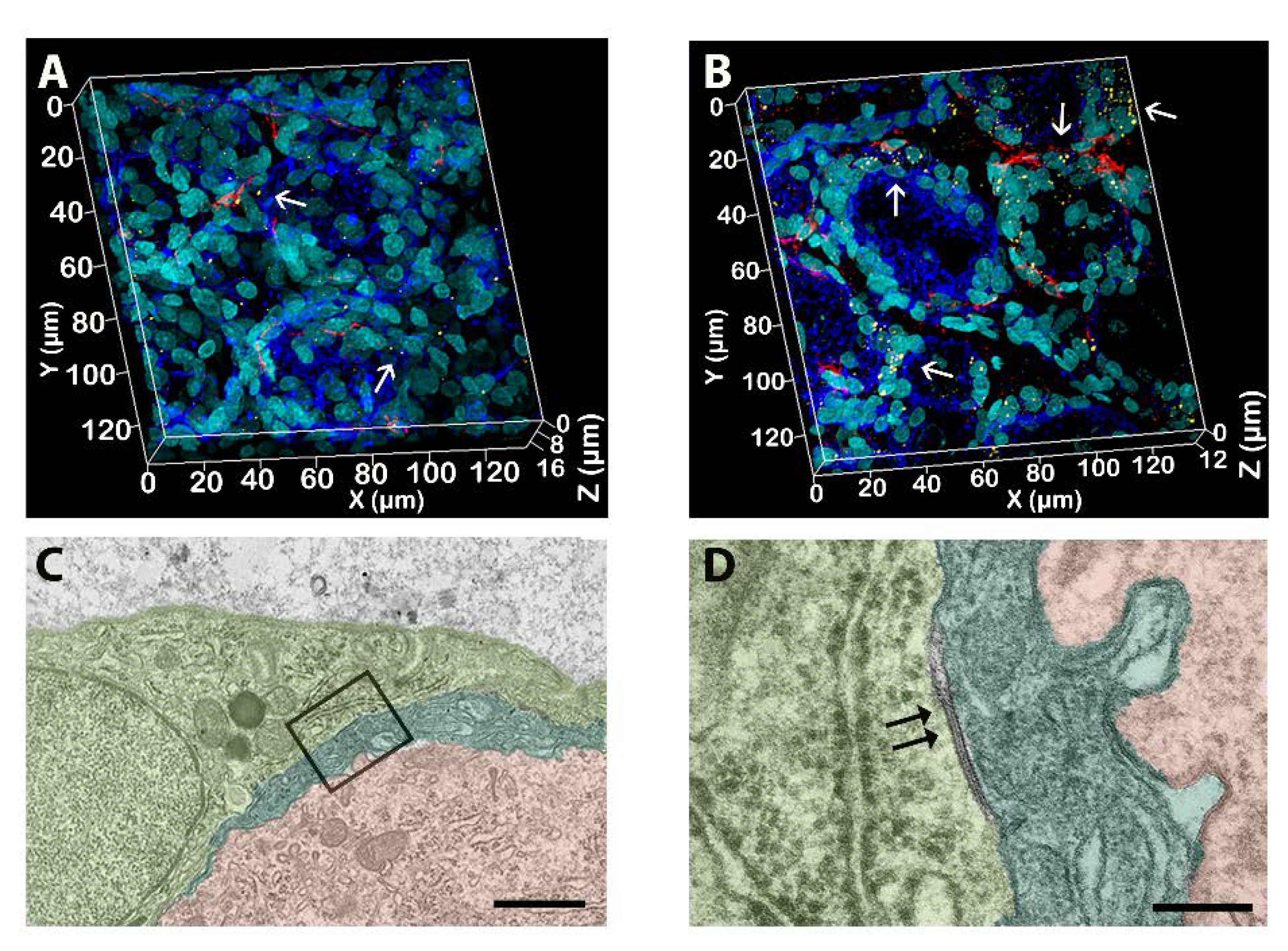 Toxics 11 00093 g005