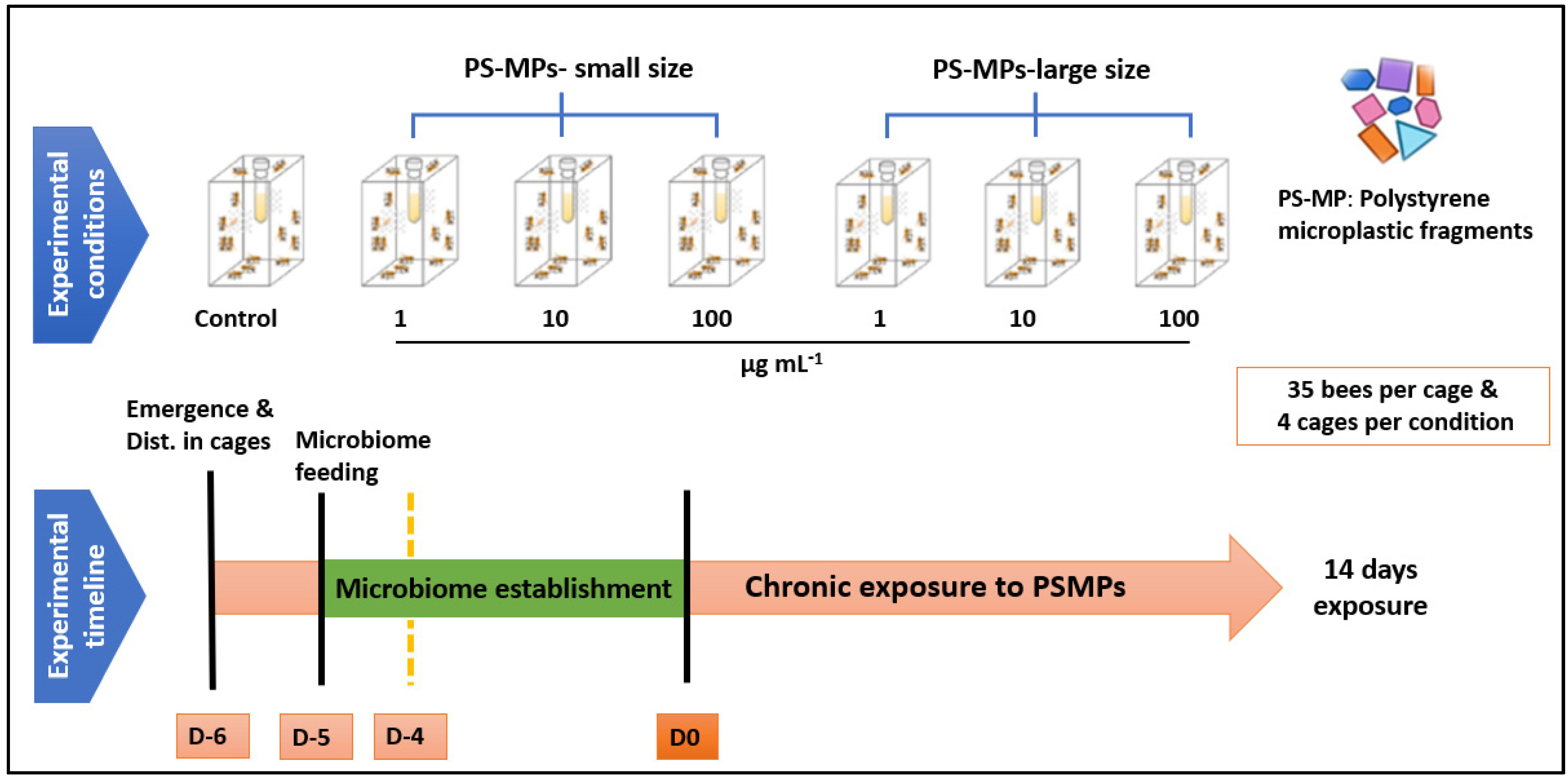 Toxics 11 00100 g002 Toxics 11 00100 g002