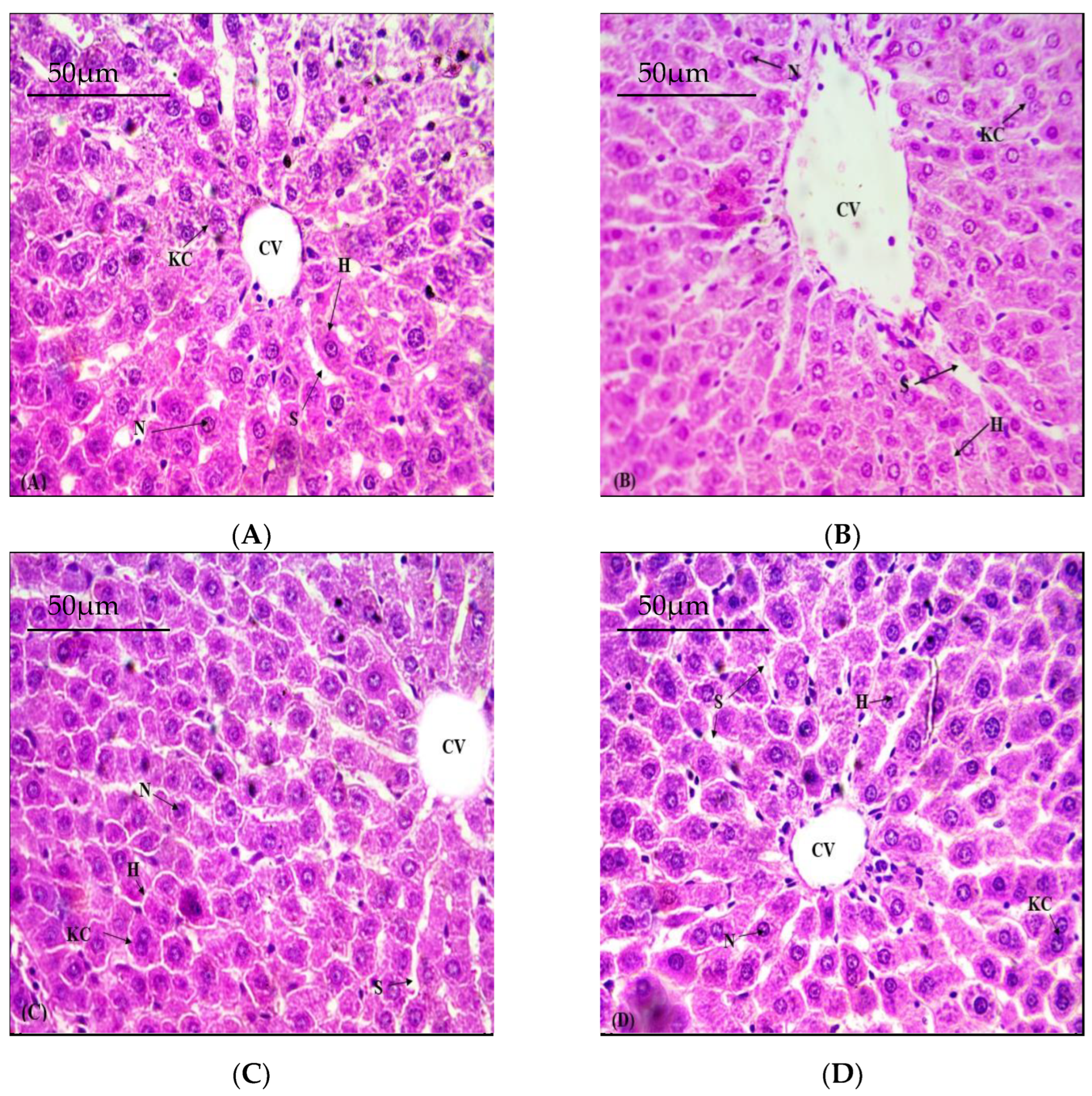 Toxics 11 00110 g001 Toxics 11 00110 g001