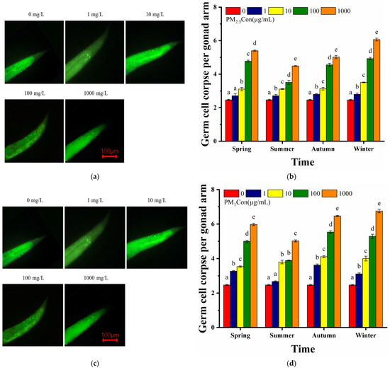 Chemical Composition and Transgenerational Effects on