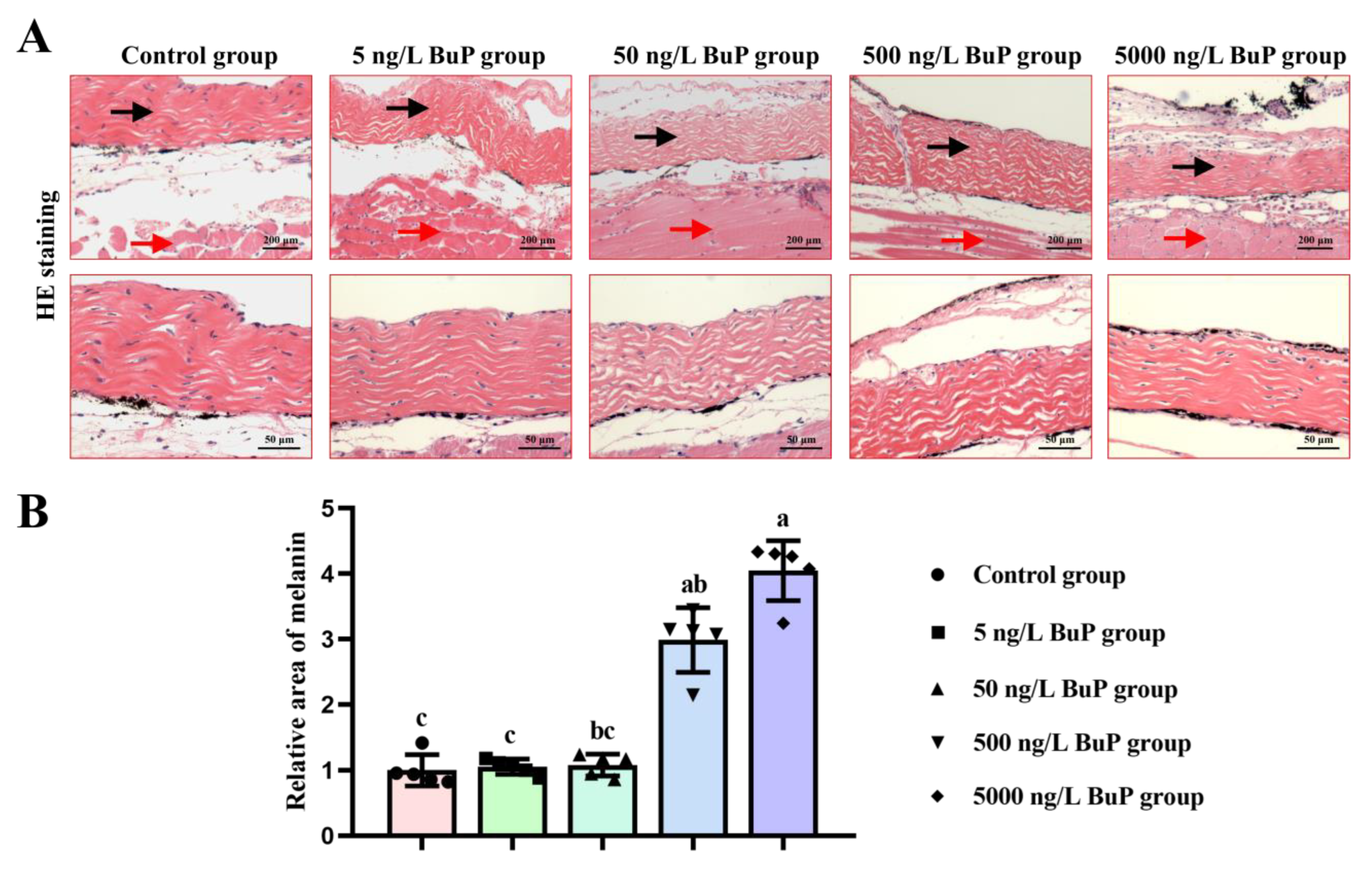 Toxics 11 00119 g002 Toxics 11 00119 g002