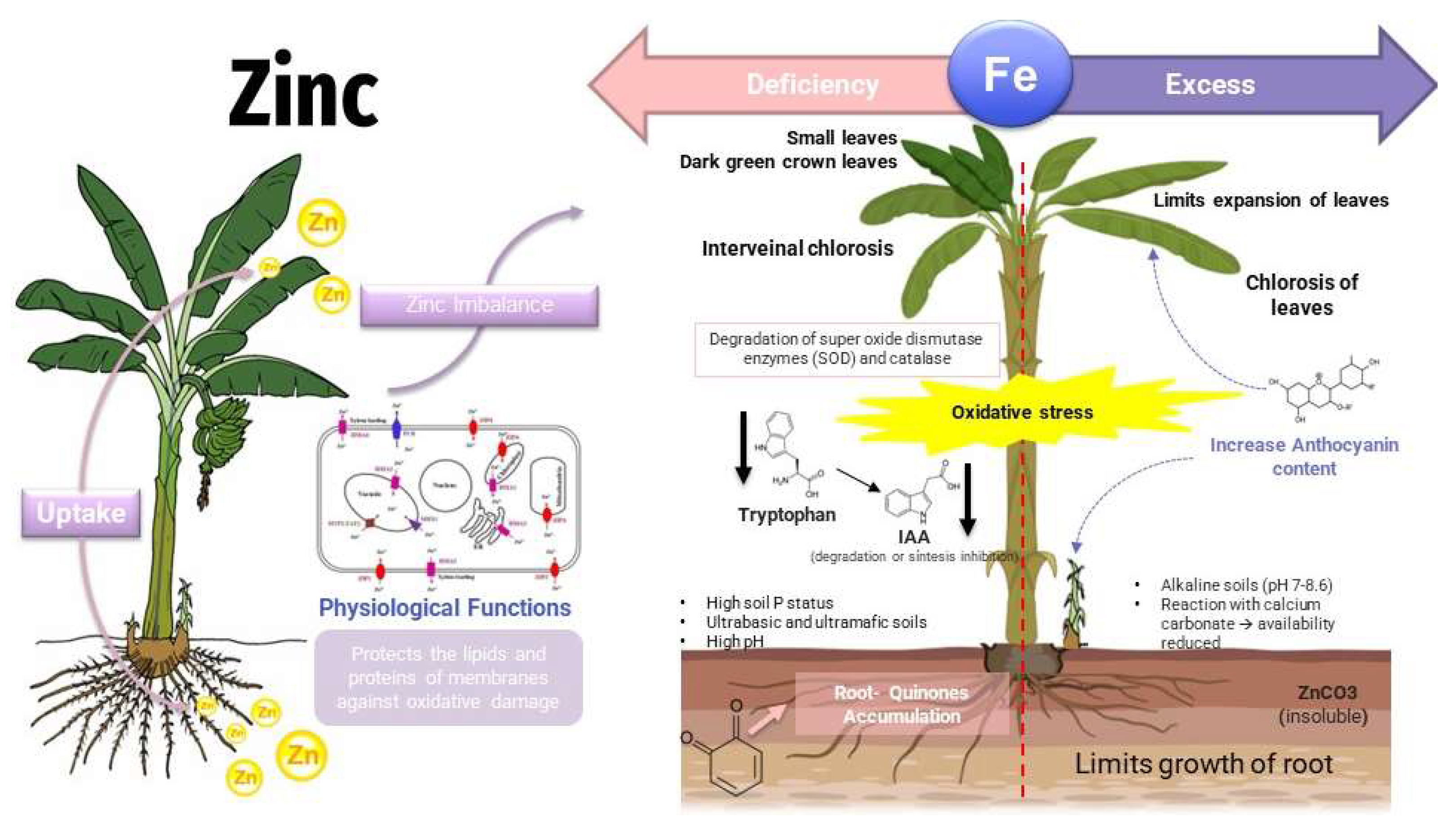 Toxics 11 00123 g003 Toxics 11 00123 g003