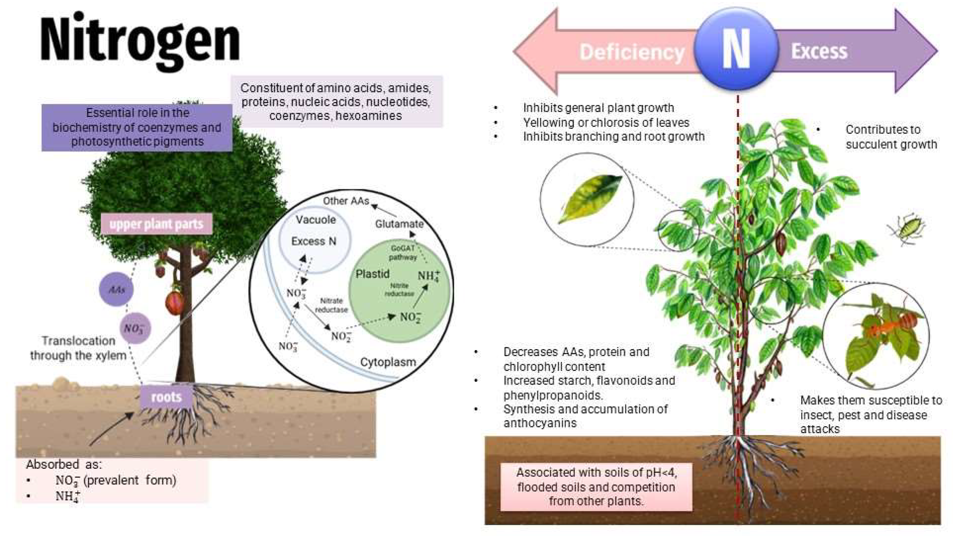 Toxics 11 00123 g004 Toxics 11 00123 g004