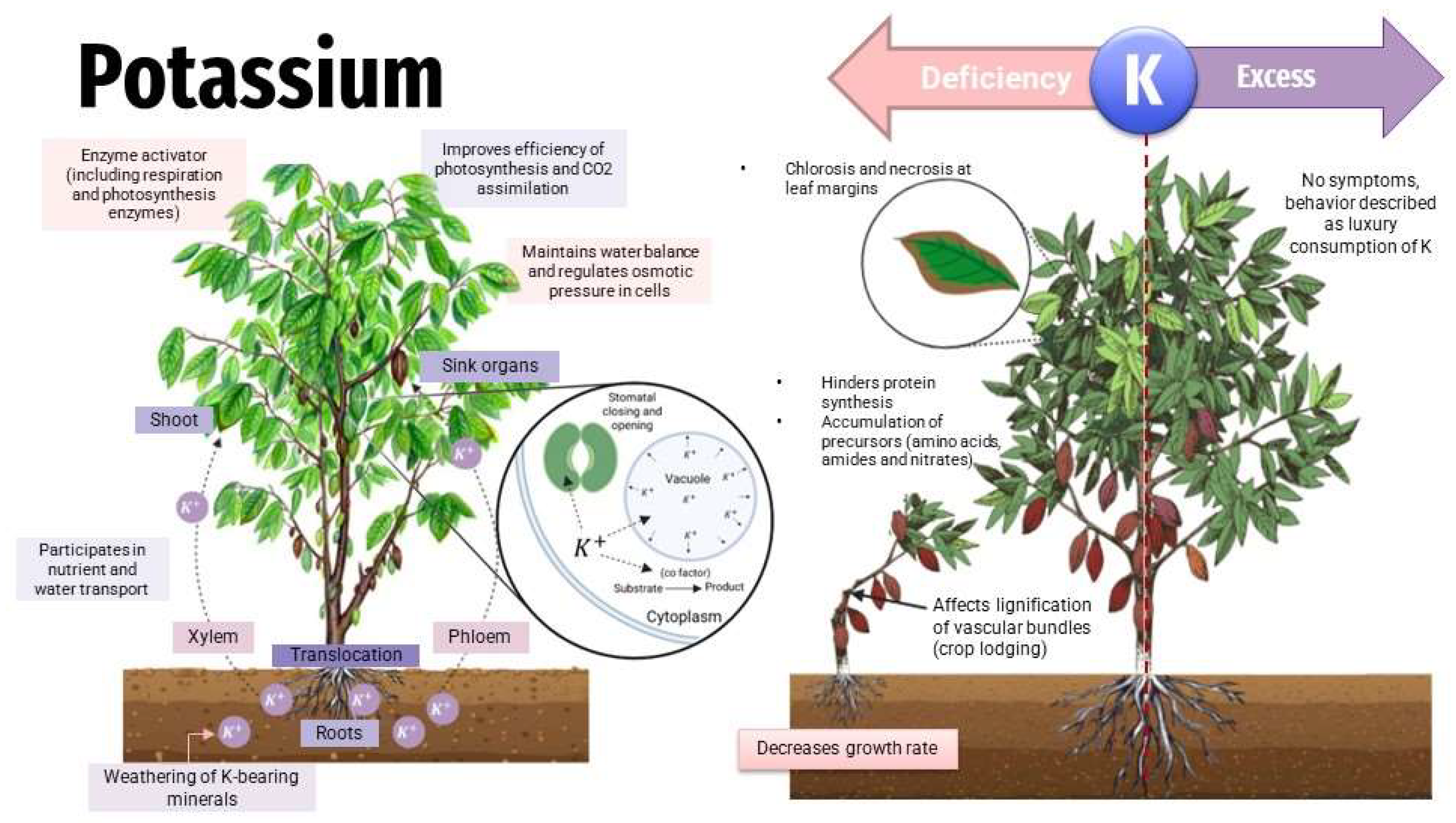 Toxics 11 00123 g005 Toxics 11 00123 g005