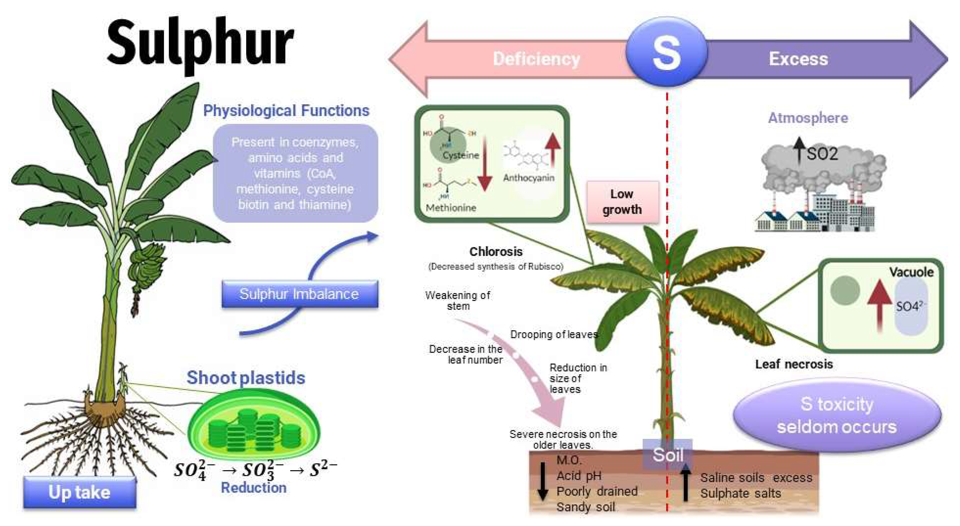Toxics 11 00123 g006 Toxics 11 00123 g006