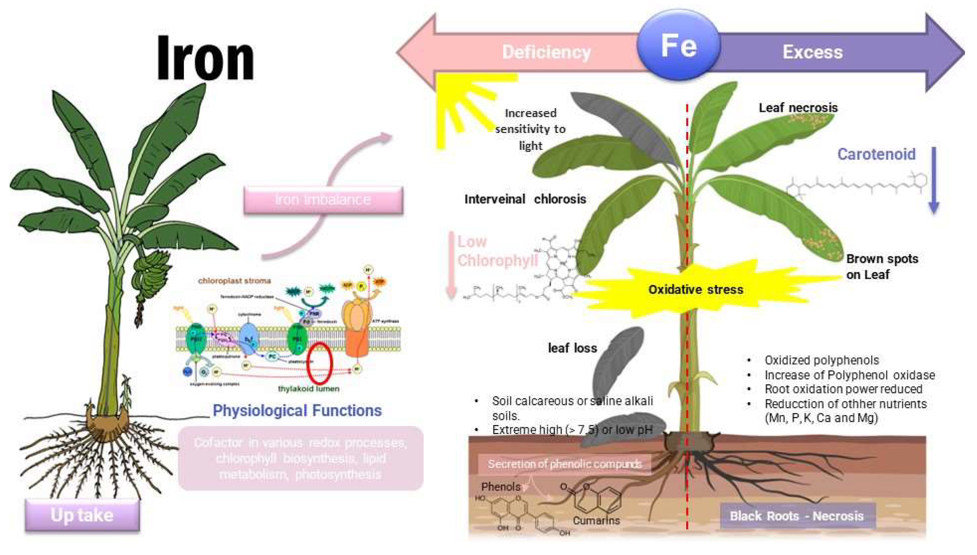 Toxics 11 00123 g007 Toxics 11 00123 g007