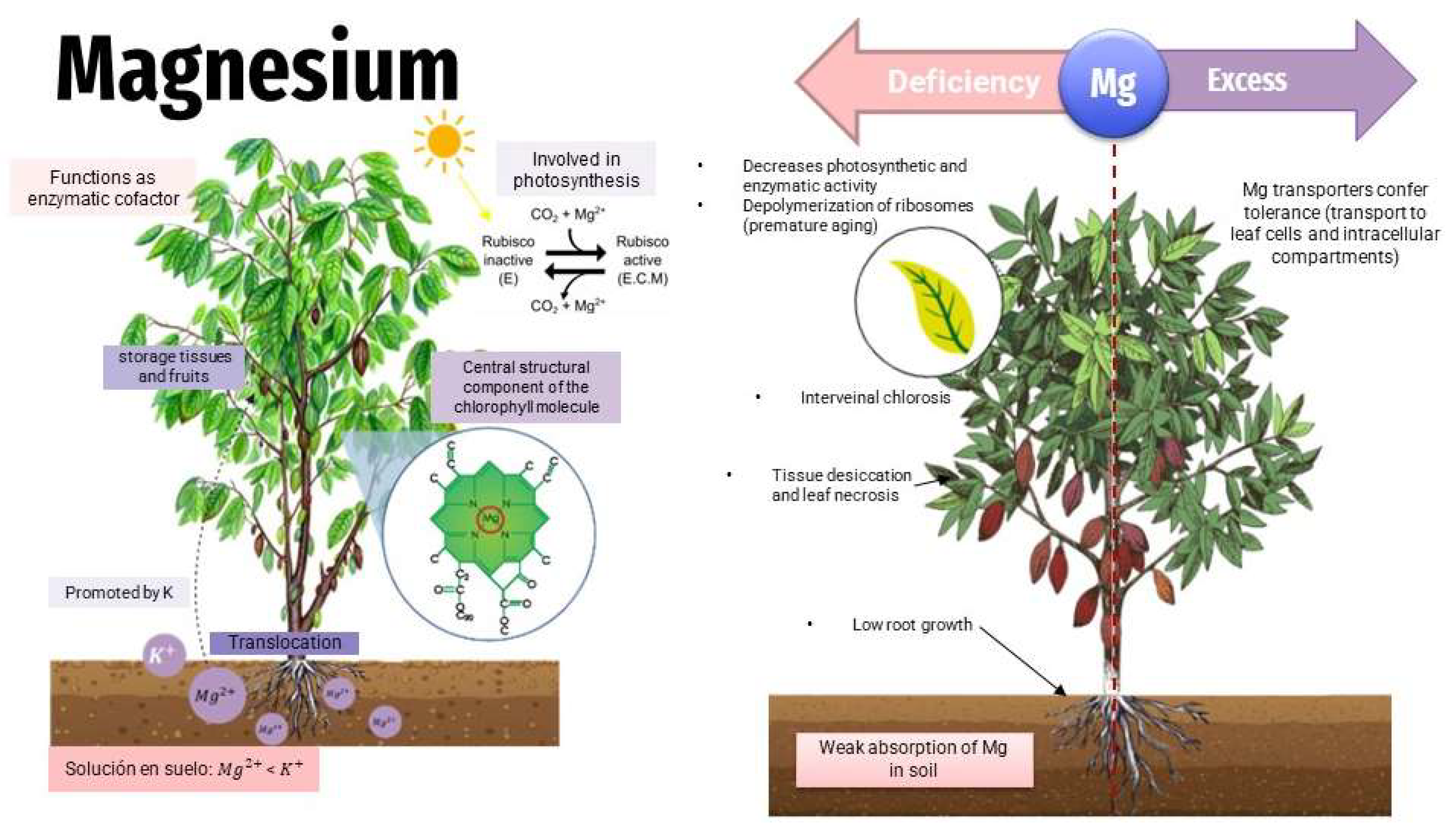 Toxics 11 00123 g008 Toxics 11 00123 g008